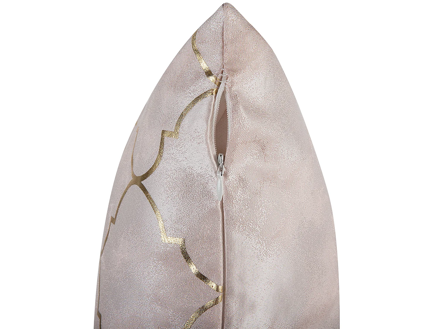 Lot de 2 coussins décoratifs ALYSSUM 45 x 45 cm Rose Motif de treillis