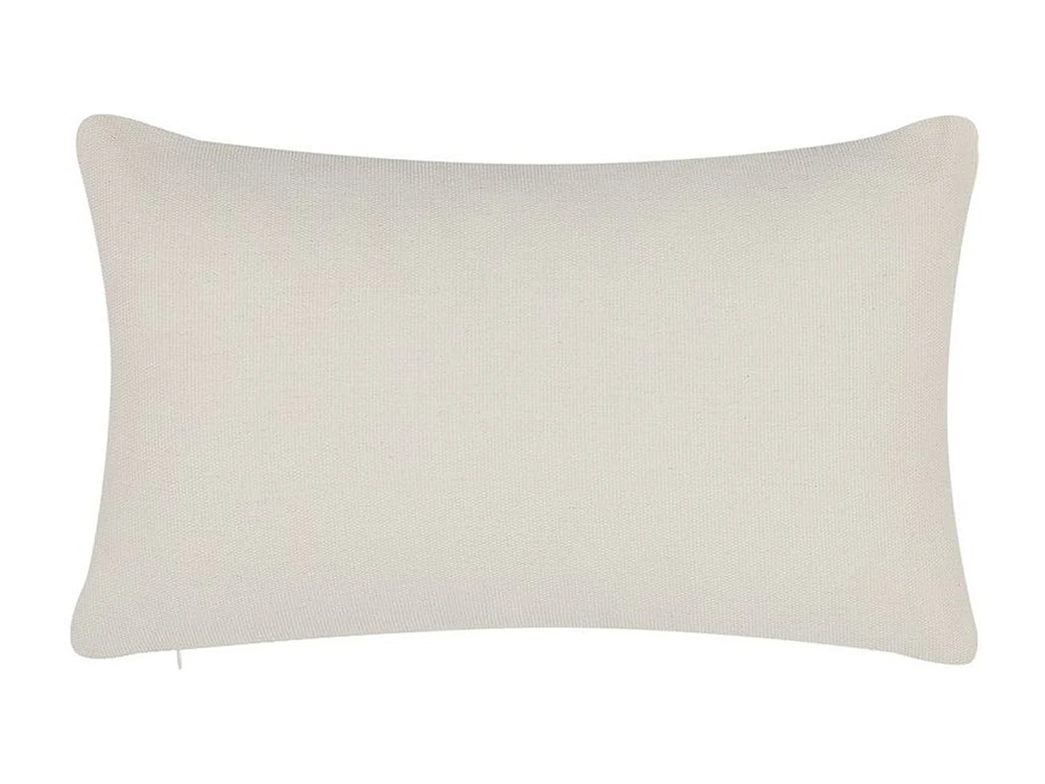 Set di 2 cuscini NASTURTIUM 30 x 50 cm Beige Trama geometrica