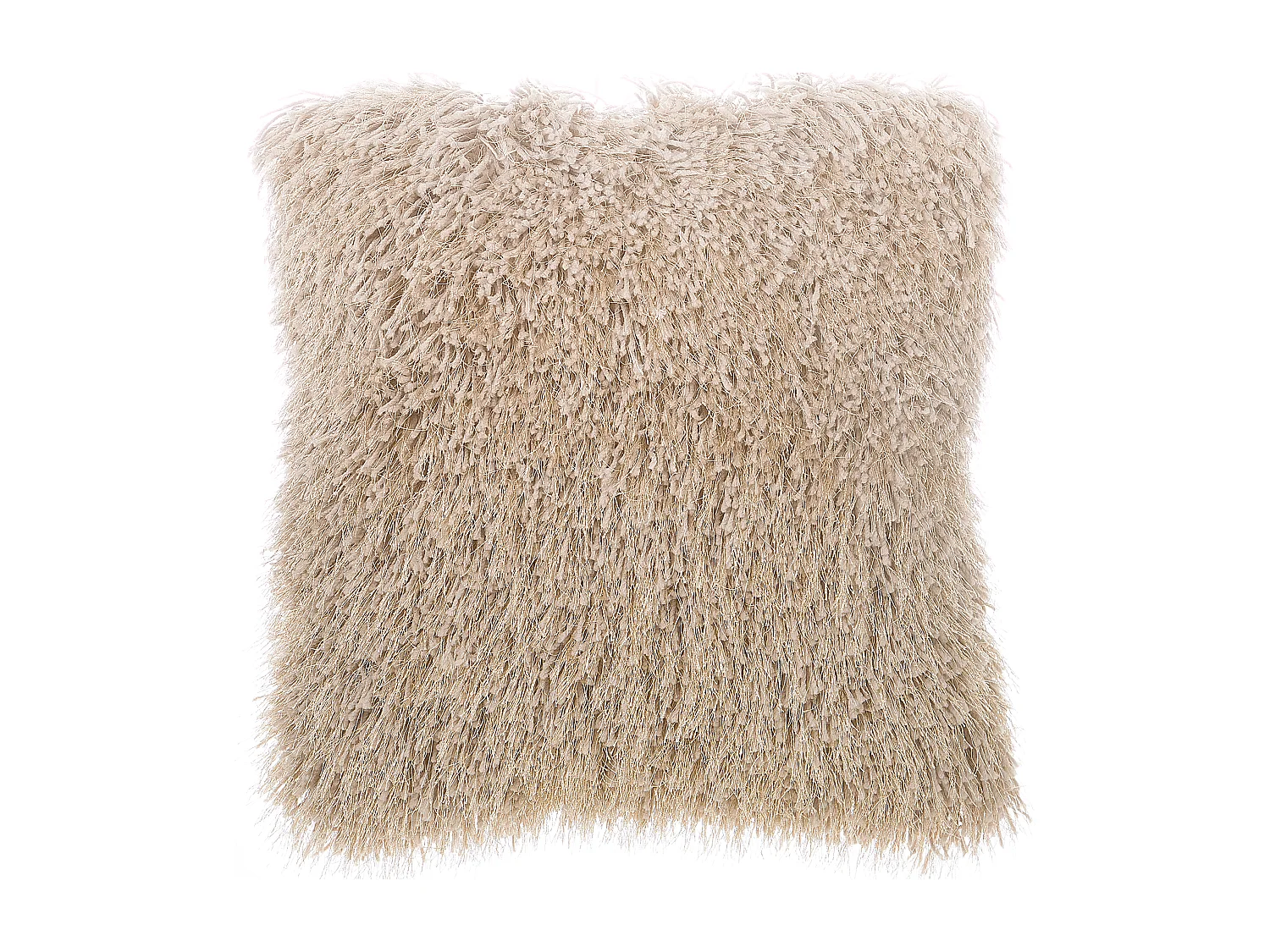 Lot de 2 coussins décoratifs CIDE 45 x 45 cm Beige Unicolore