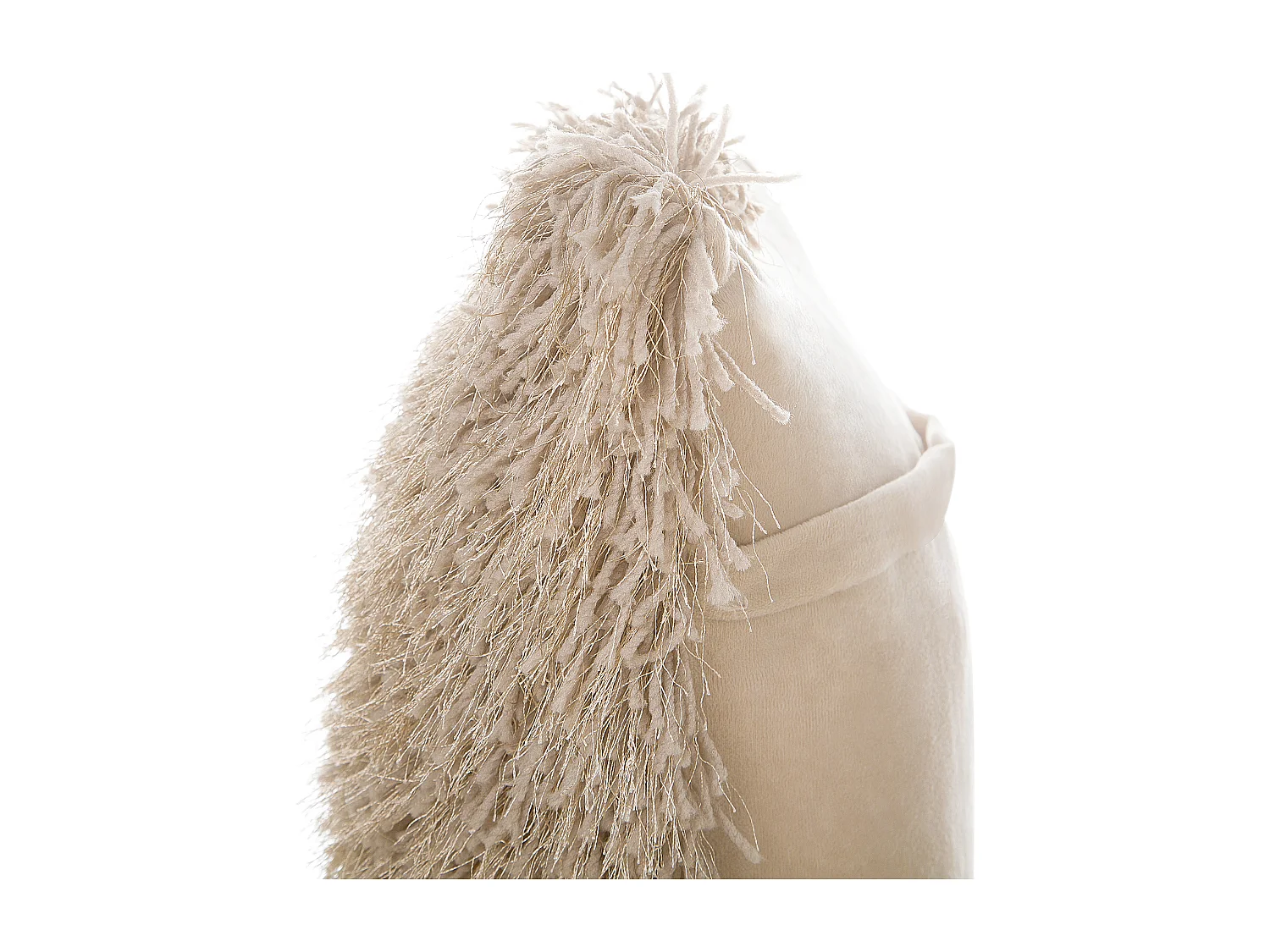 Lot de 2 coussins décoratifs CIDE 45 x 45 cm Beige Unicolore