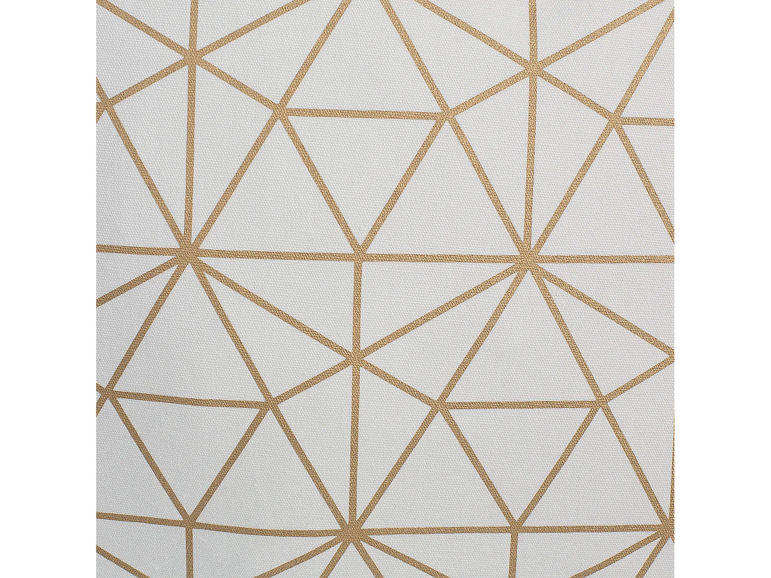 Lot de 2 coussins décoratifs SEDUM Coton 45 x 45 cm Blanc Doré Motif géométrique