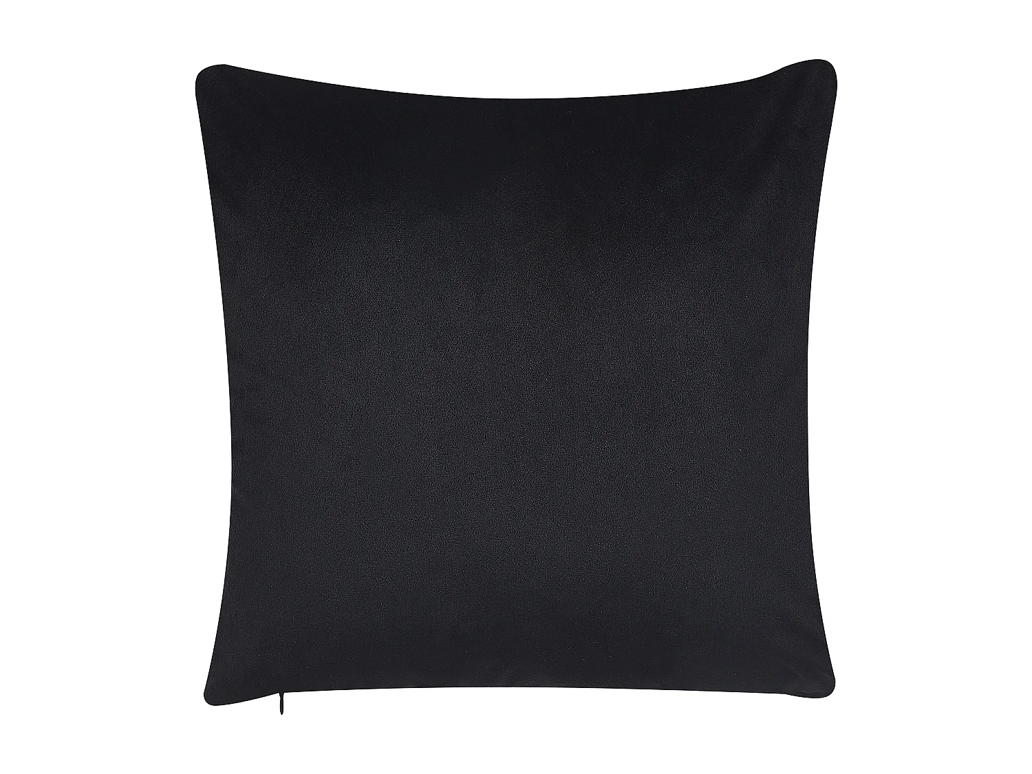 Lot de 2 coussins décoratifs LAGURUS Velours 45 x 45 cm Multicolore Motif de plante