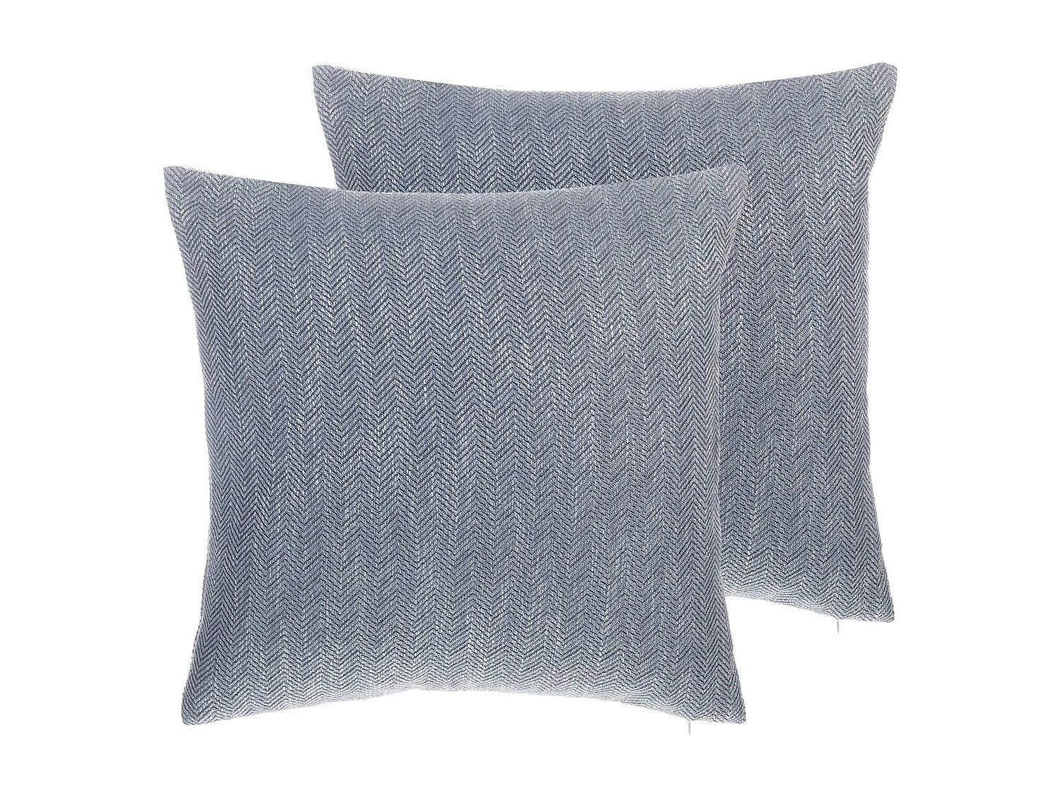Lot de 2 coussins décoratifs LUPINE 45 x 45 cm Gris Motif à chevrons