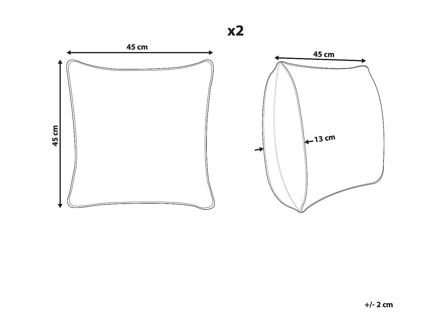 Lot de 2 coussins décoratifs DICHONDRA Velours 45 x 45 cm Multicolore Motif floral