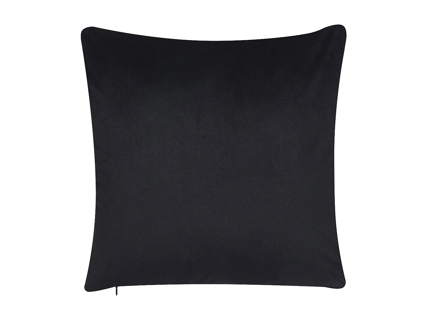 Lot de 2 coussins décoratifs DICHONDRA Velours 45 x 45 cm Multicolore Motif floral