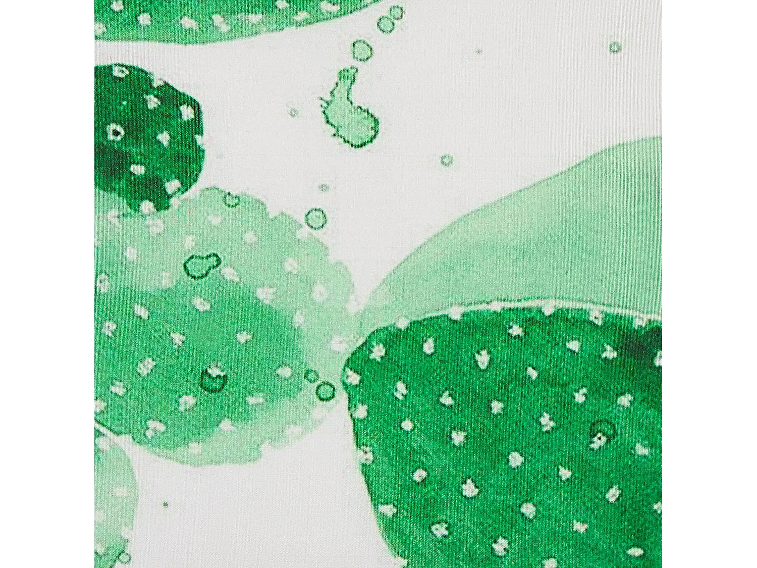 Conjunto de 2 cojines de exterior OSTINA Patrón de plantas 45 x 45 cm Verde