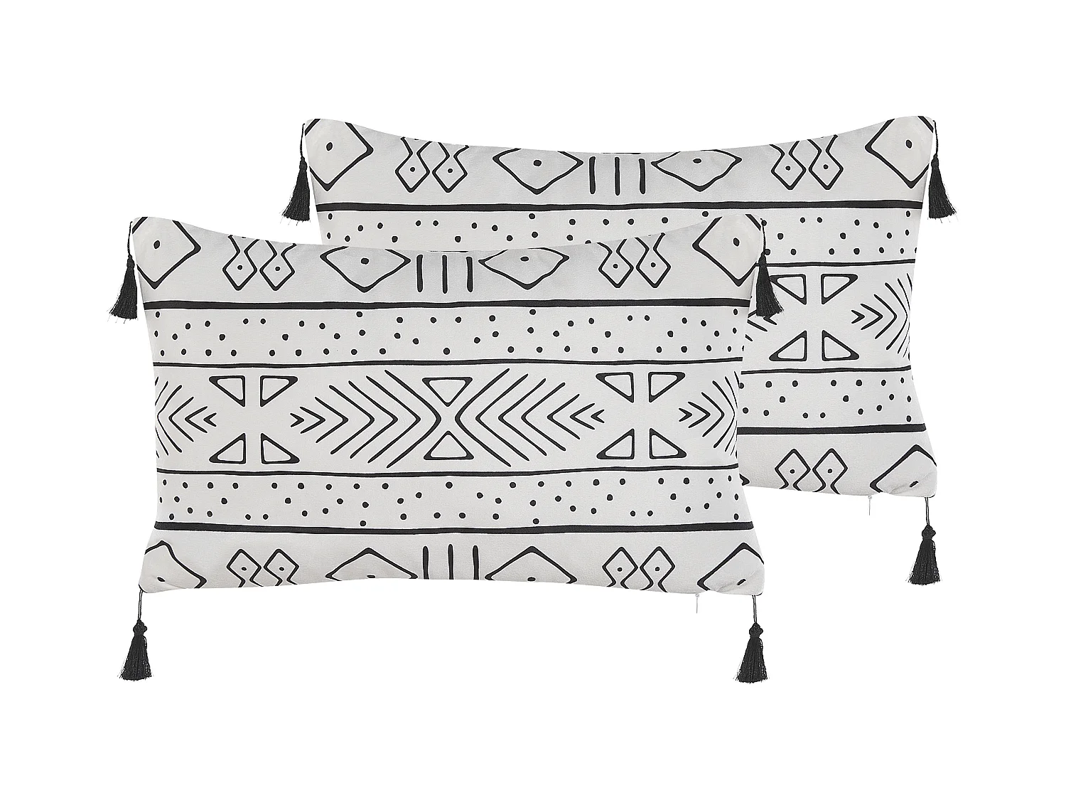 Lot de 2 coussins décoratifs SCHEFFLERA Velours 30 x 50 cm Blanc Motif géométrique