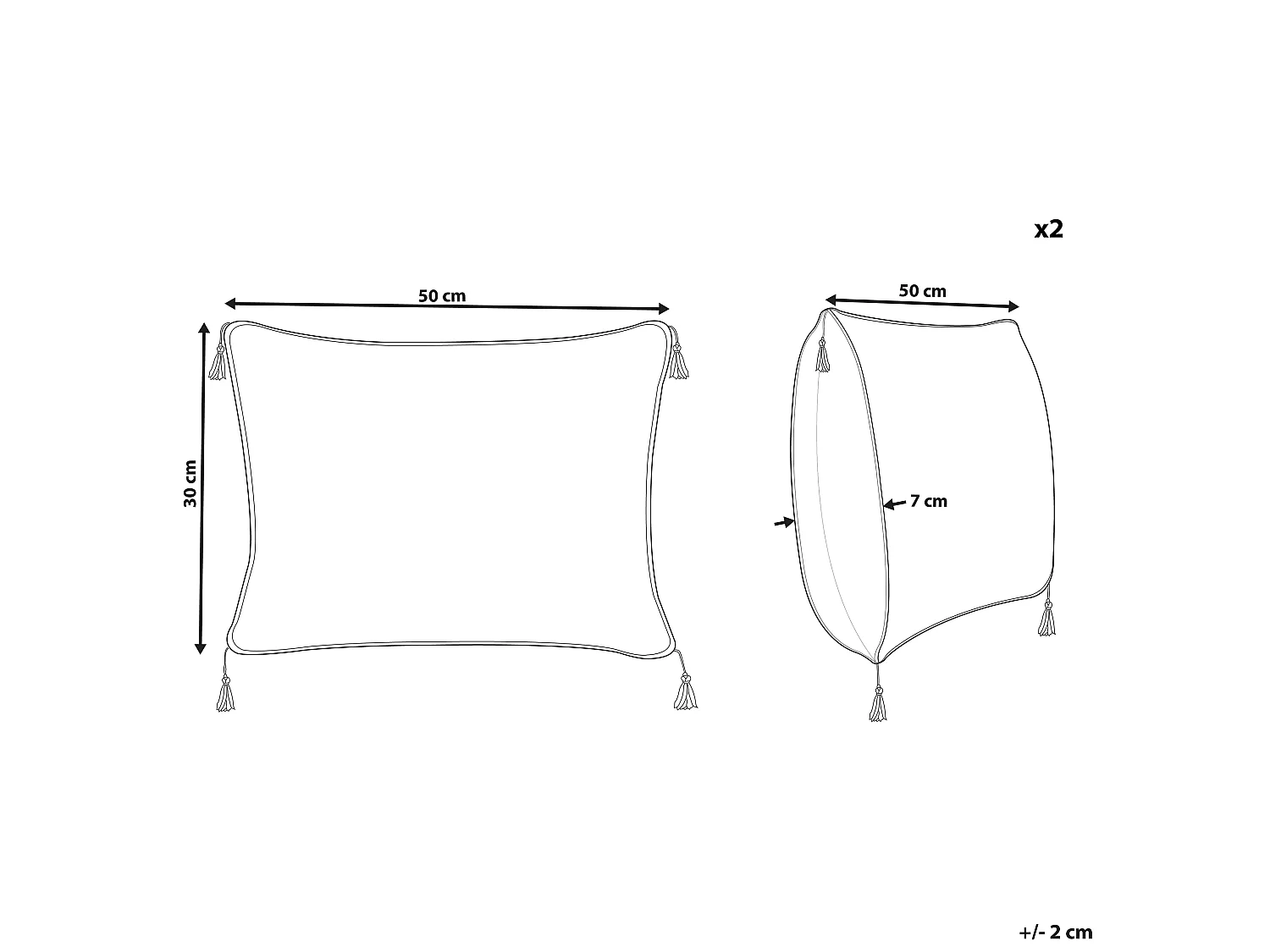 Lot de 2 coussins décoratifs SCHEFFLERA Velours 30 x 50 cm Blanc Motif géométrique