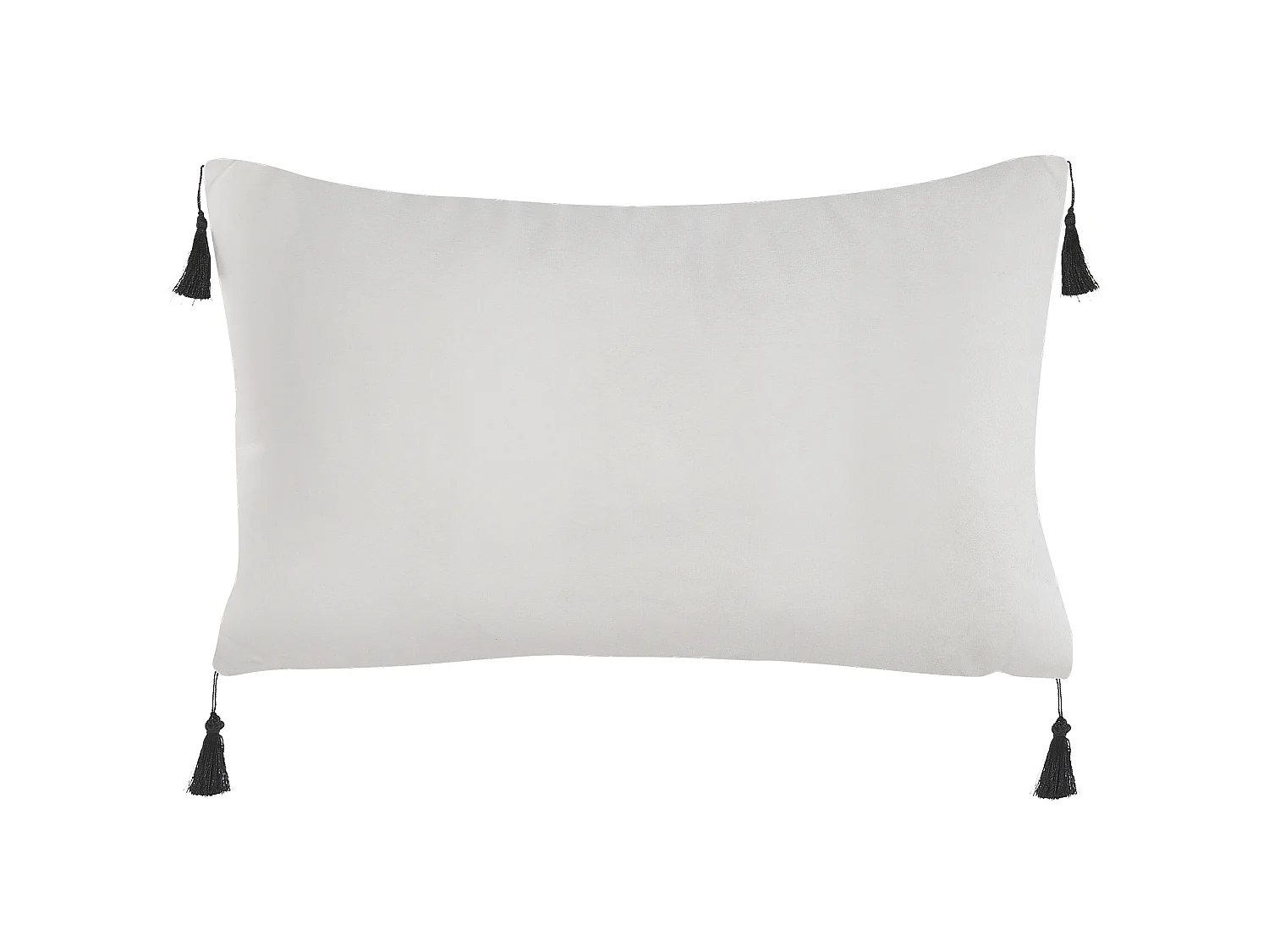 Lot de 2 coussins décoratifs SCHEFFLERA Velours 30 x 50 cm Blanc Motif géométrique