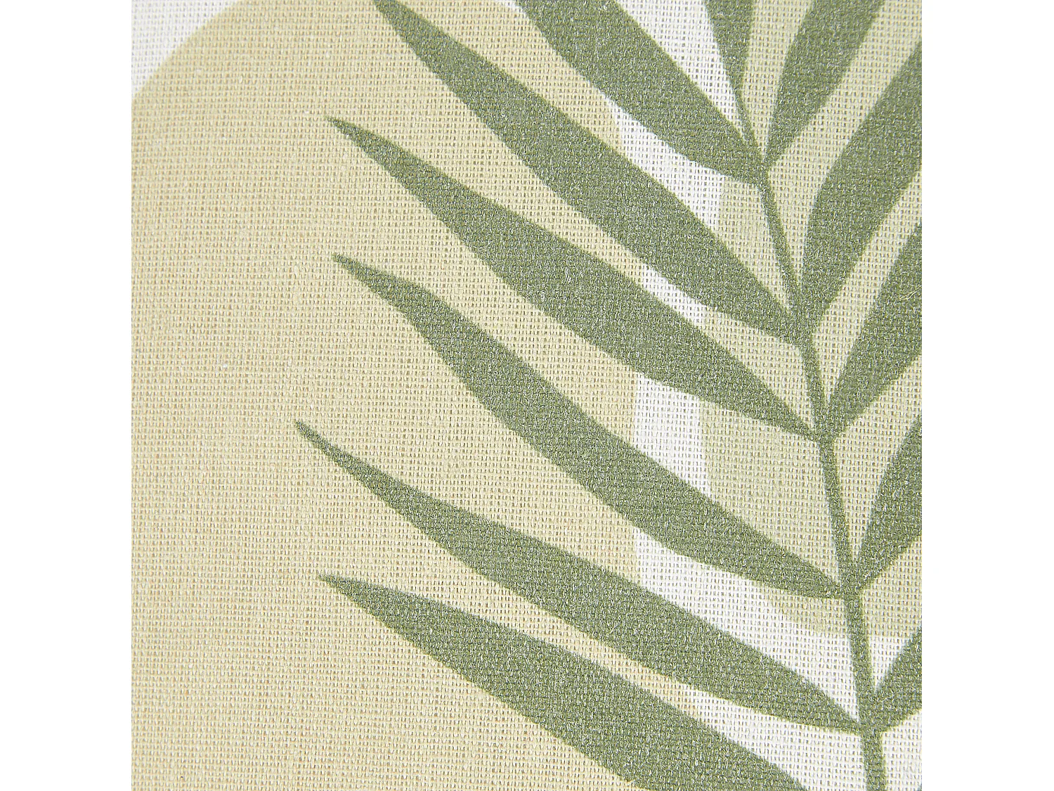 Lot de 2 coussins décoratifs MICROSORUM 45 x 45 cm Vert clair Motif de plante