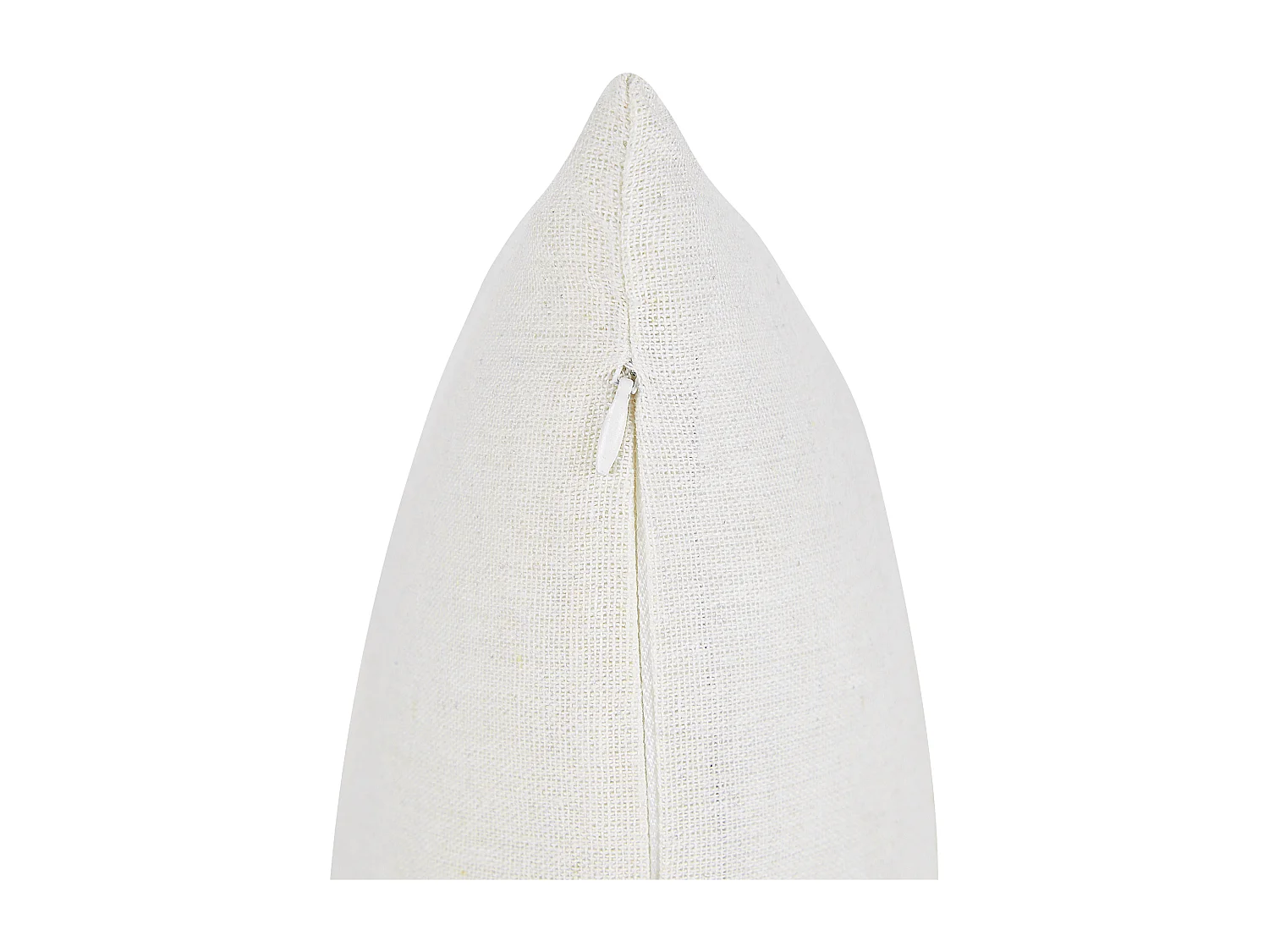 Lot de 2 coussins décoratifs MICROSORUM 45 x 45 cm Vert clair Motif de plante