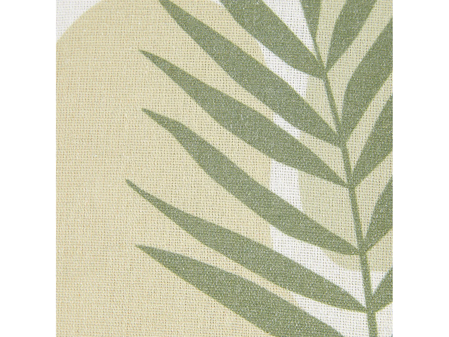 Lot de 2 coussins décoratifs MICROSORUM 45 x 45 cm Vert clair Motif de plante