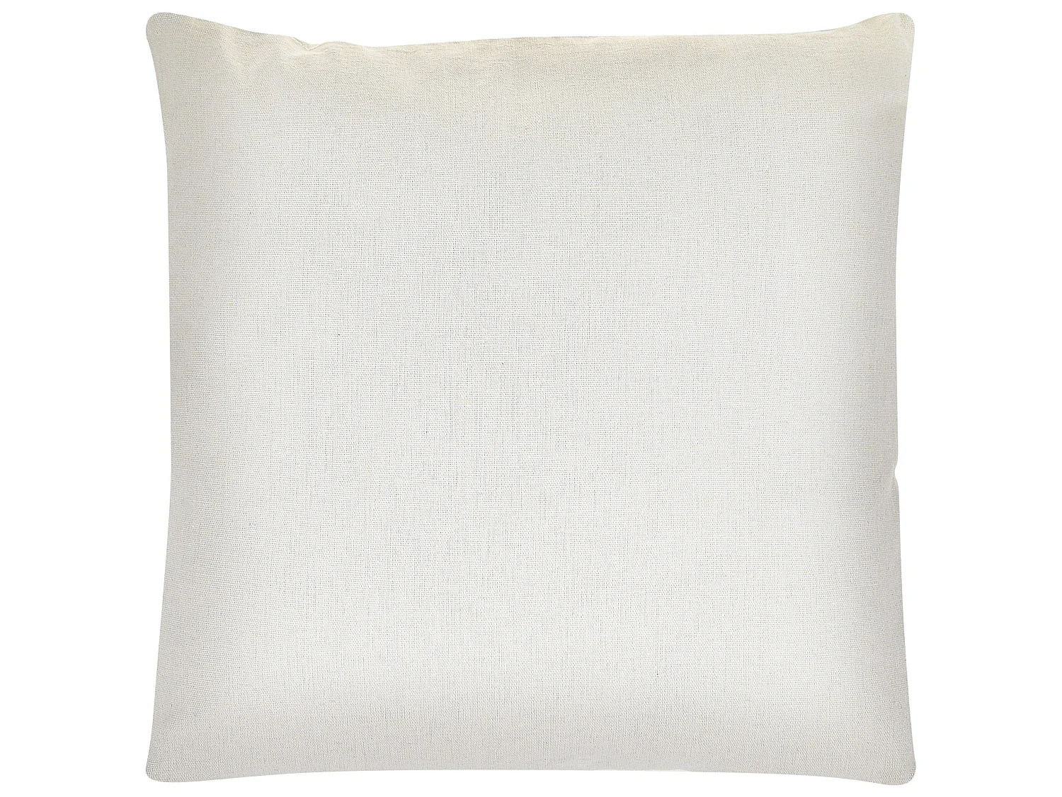 Lot de 2 coussins décoratifs MICROSORUM 45 x 45 cm Vert clair Motif de plante