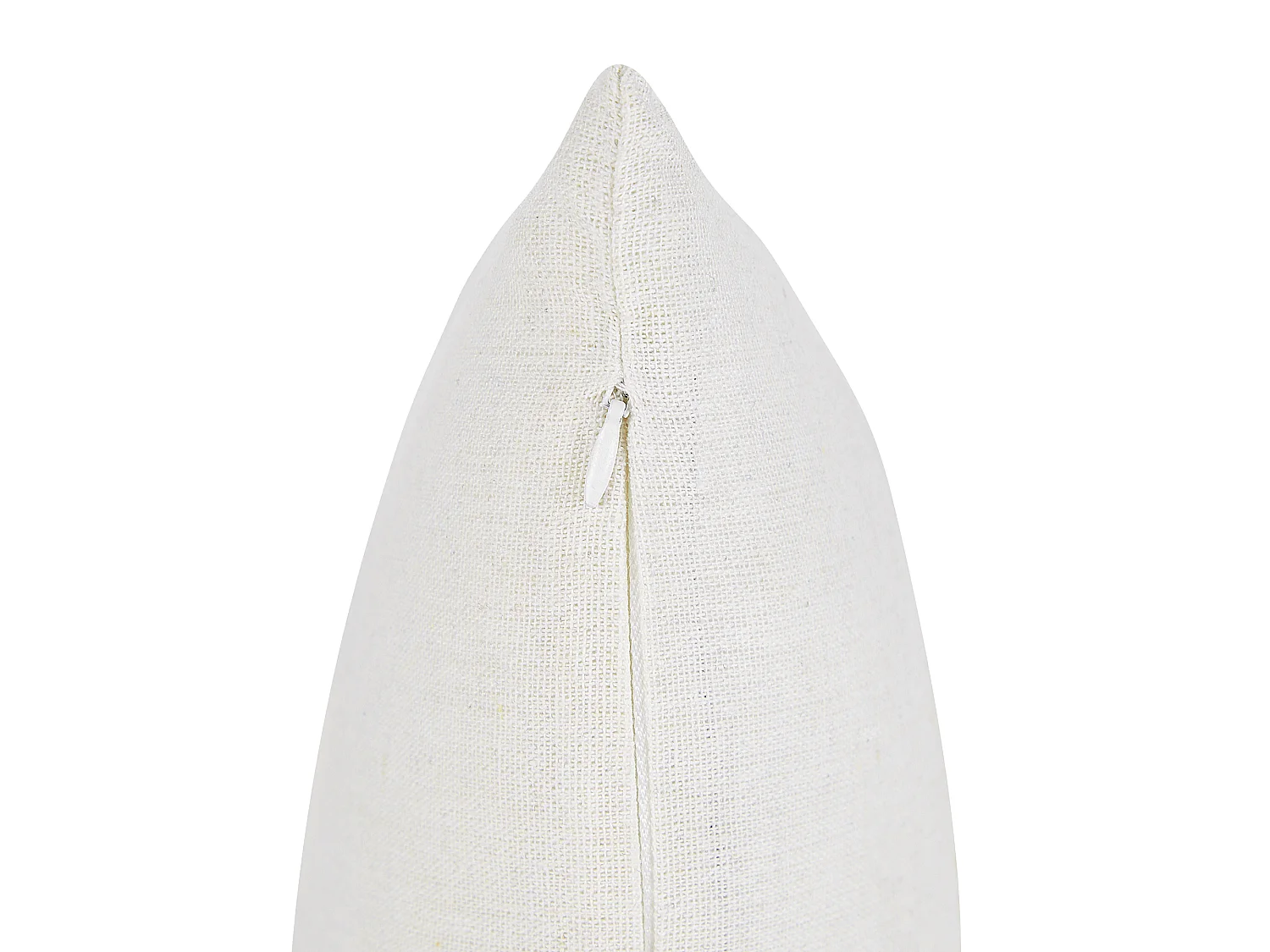 Lot de 2 coussins décoratifs MICROSORUM 45 x 45 cm Vert clair Motif de plante