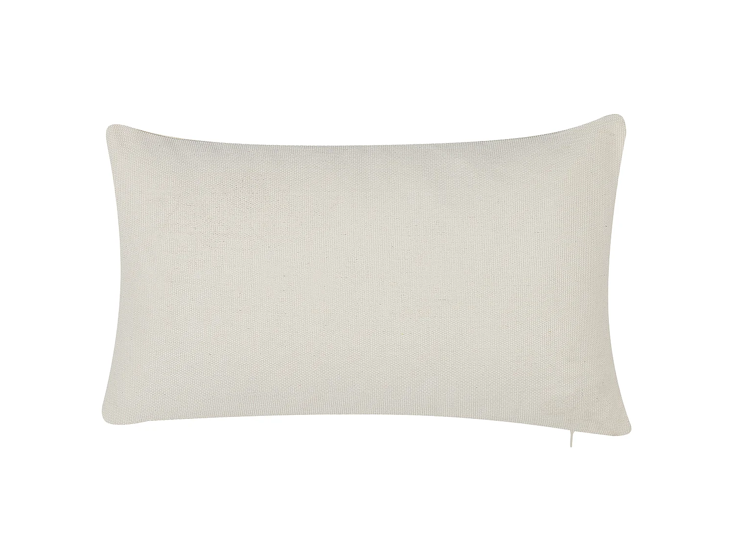 Lot de 2 coussins décoratifs GERBERA 30 x 50 cm Multicolore Motif abstrait