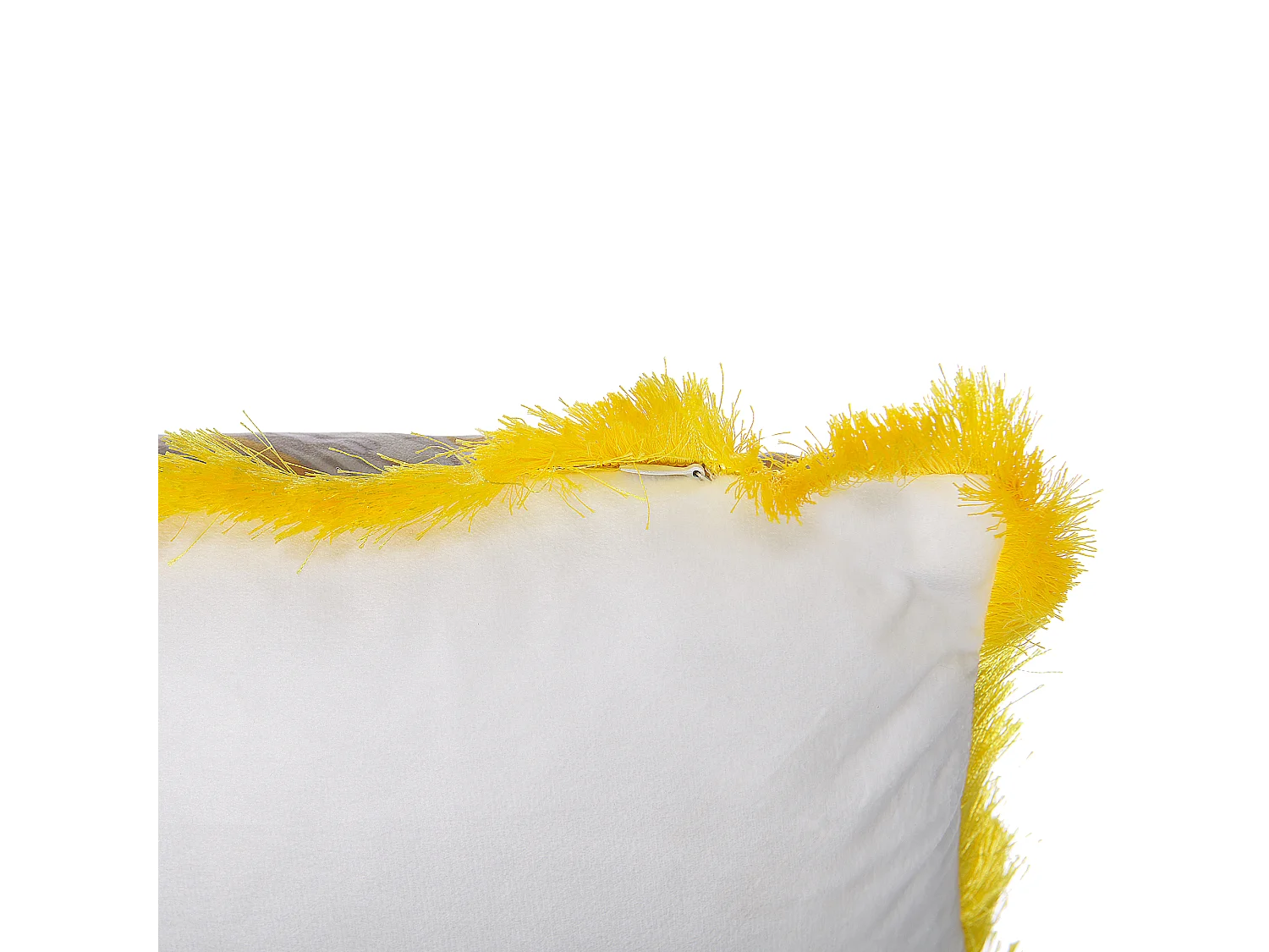 Set van 2 decoratieve kussens MANJU Fluweel 45 x 45 cm Geel Dierenprint