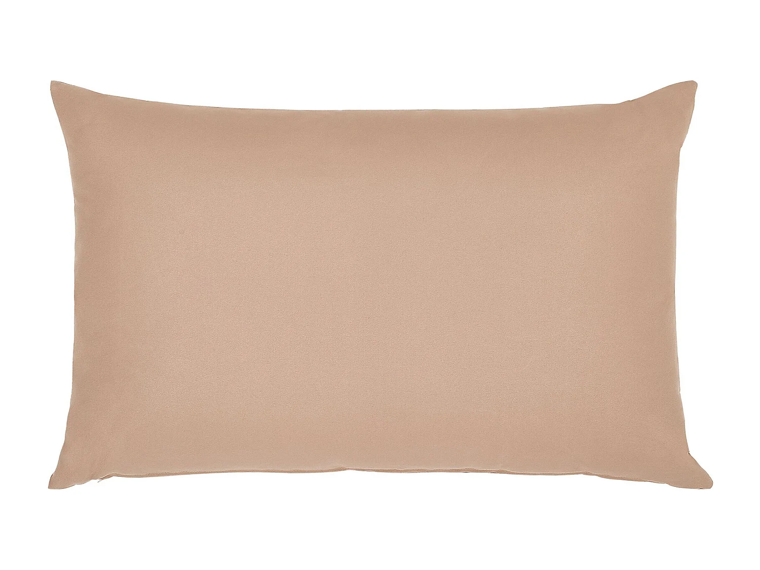 Conjunto de 2 almofadas de jardim ALMYROS Sólido 50 x 70 cm Cor de areia