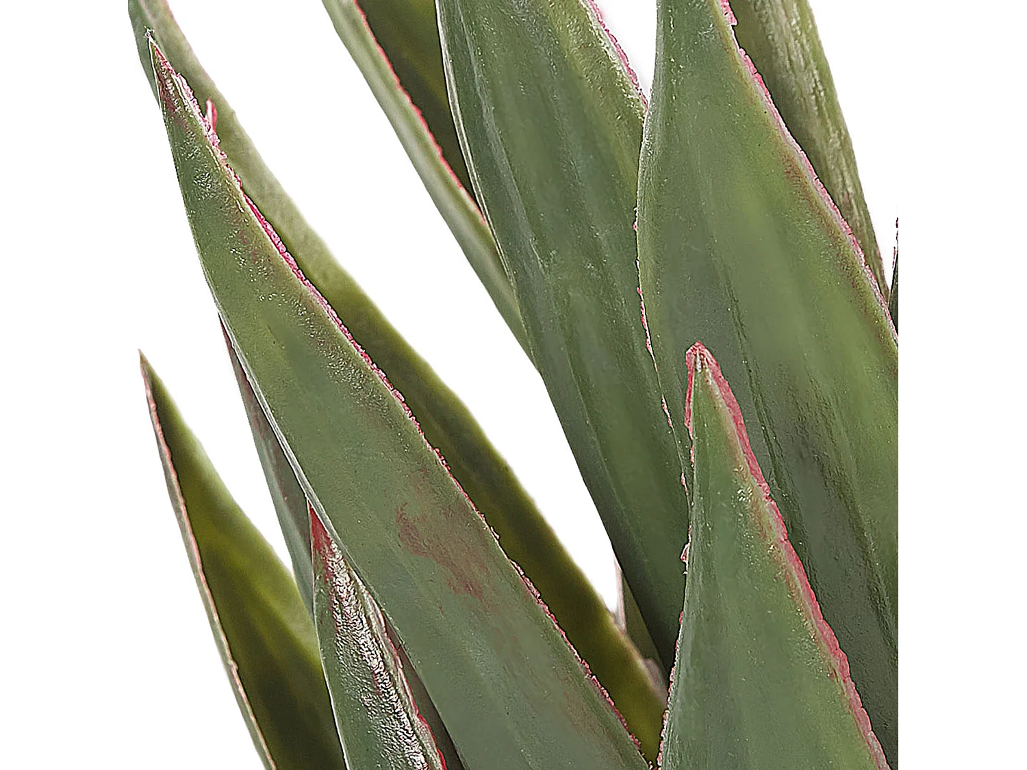 Dekopflanze in Aloe Vera-Form Kunststoff 52 cm grün Yucca