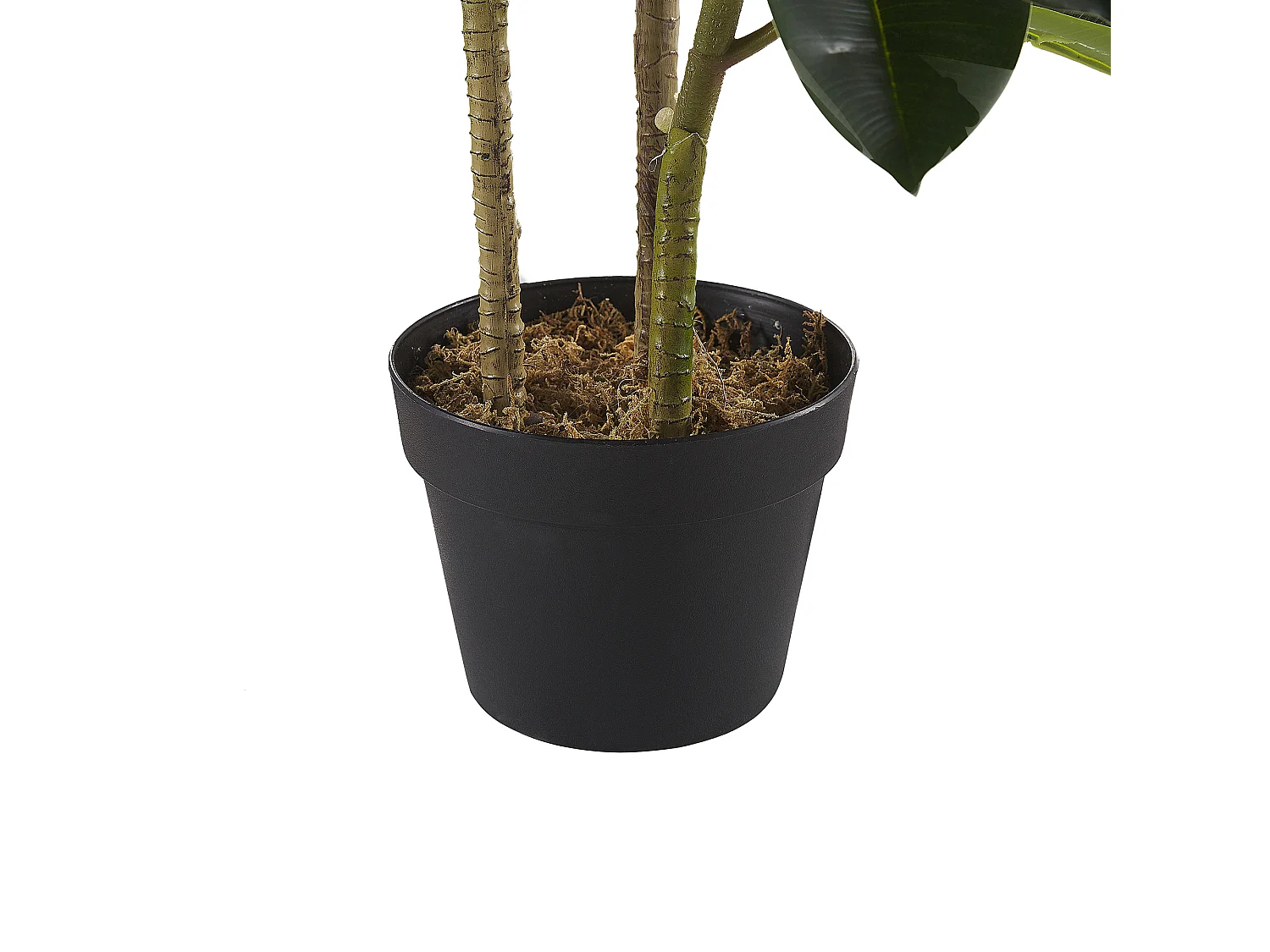 Pianta artificiale in vaso 134 cm FICUS ELASTICA