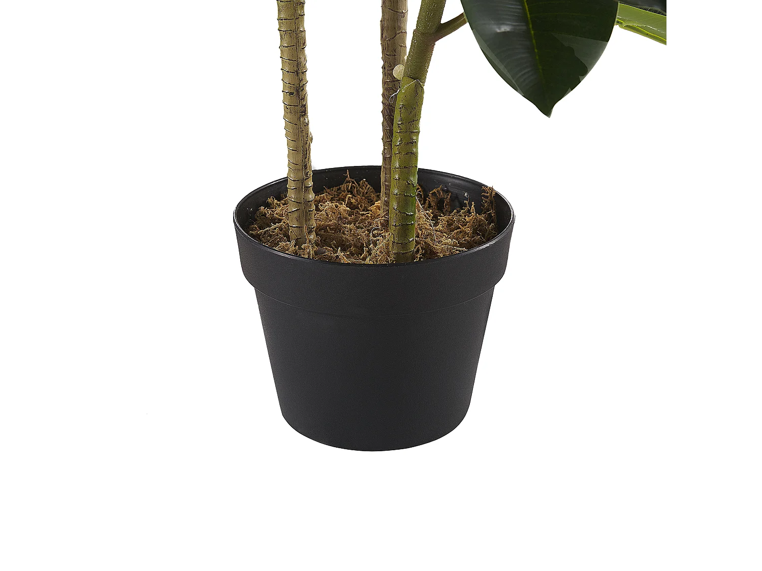 Plante artificielle FICUS ELASTICA 134 cm Vert