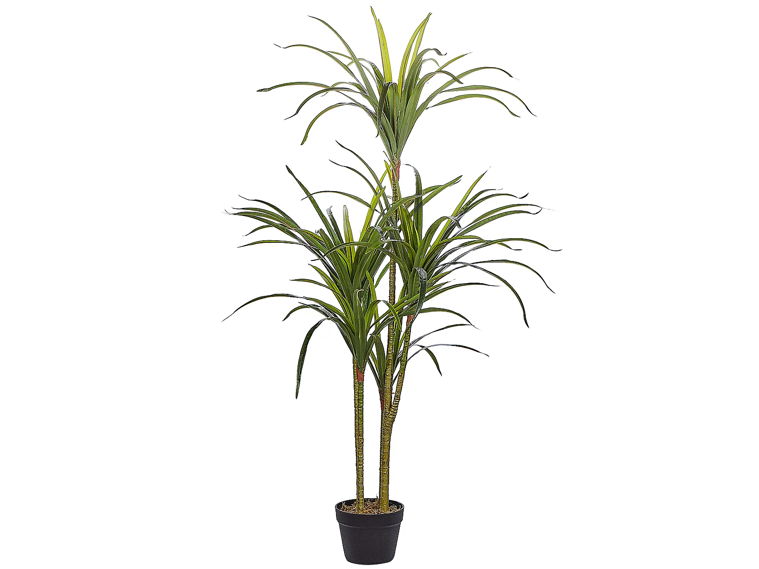 Dekorative Kunstpflanze in Drachenbaum-Form mit Topf 147 cm grün Dracaena Anita