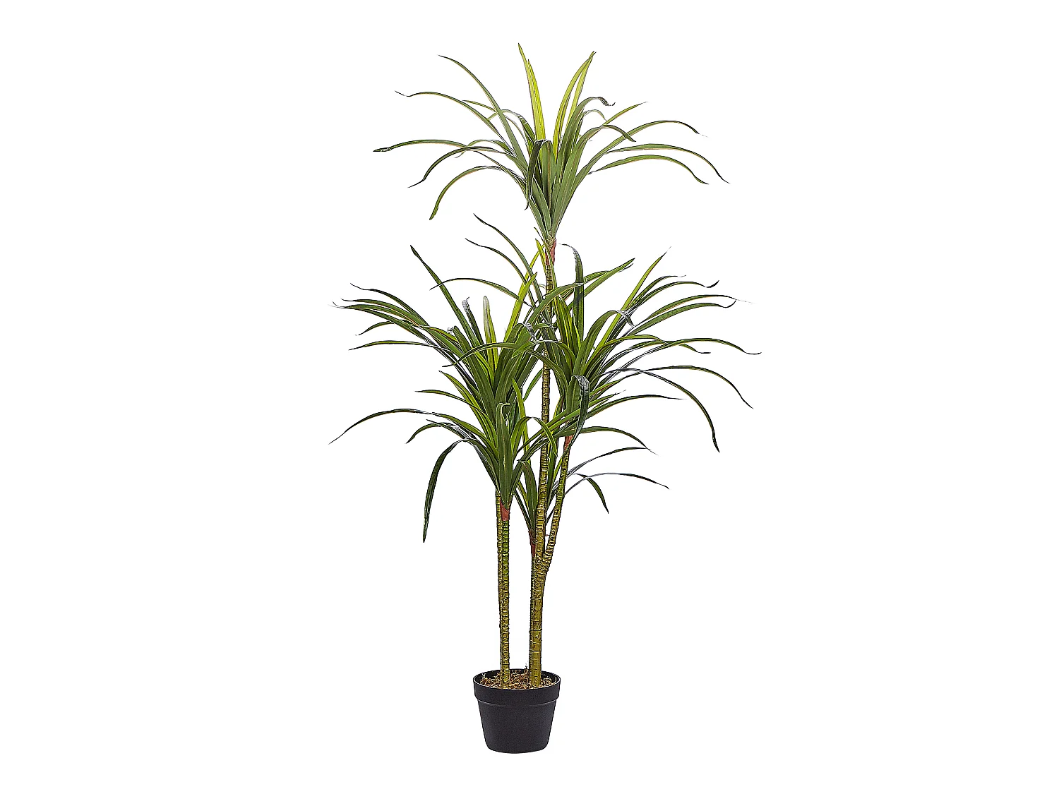 Plante artificielle DRACAENA ANITA 147 cm Vert