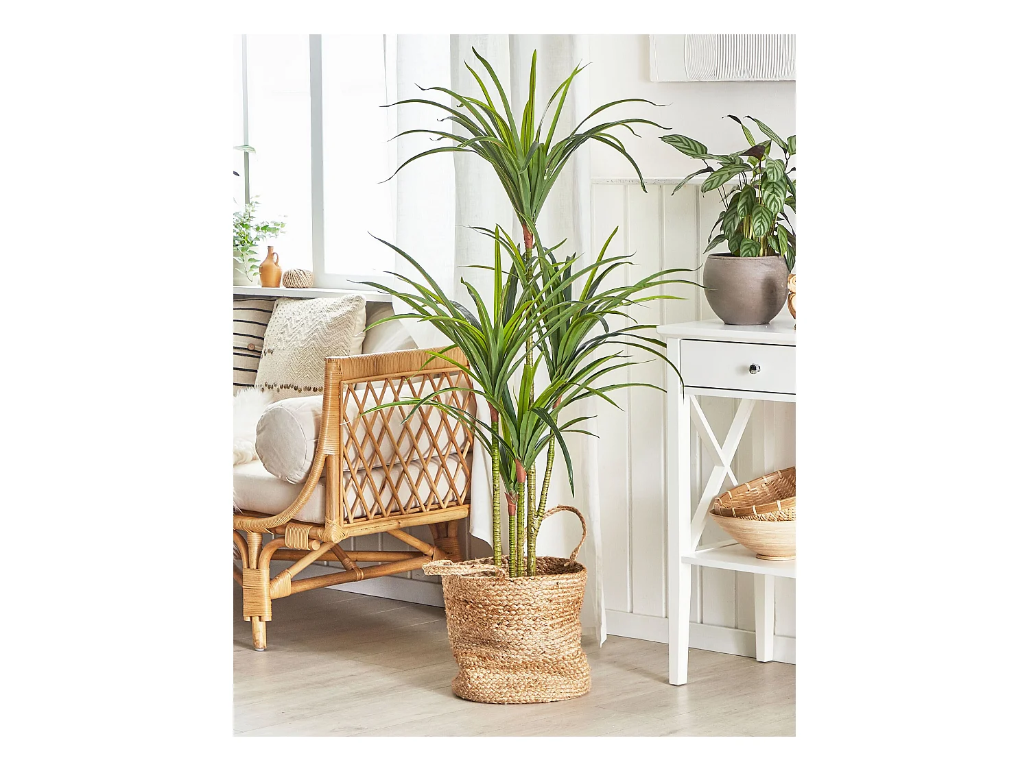 Kunstplant 147 cm DRACAENA ANITA