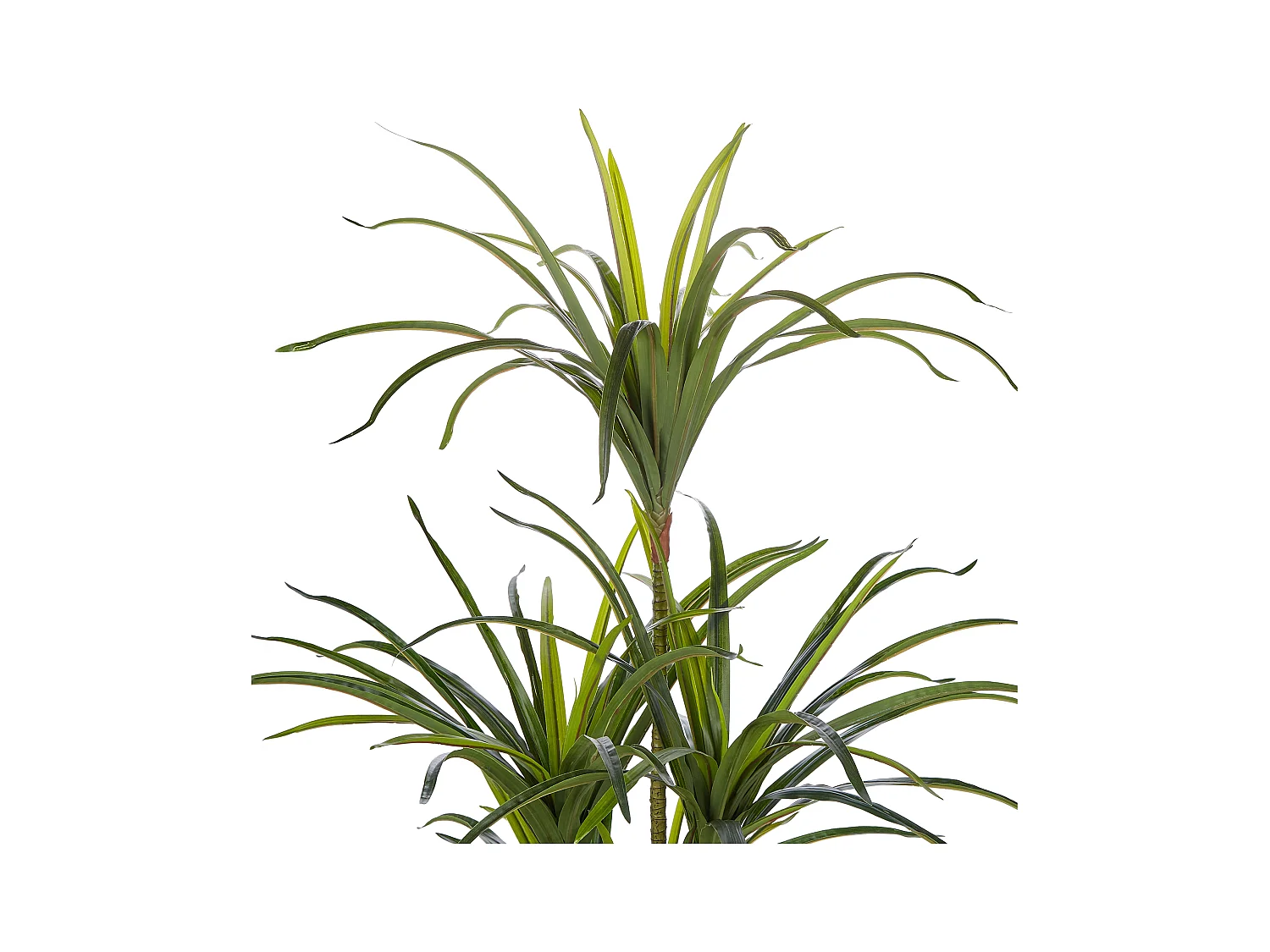 Kunstplant 147 cm DRACAENA ANITA
