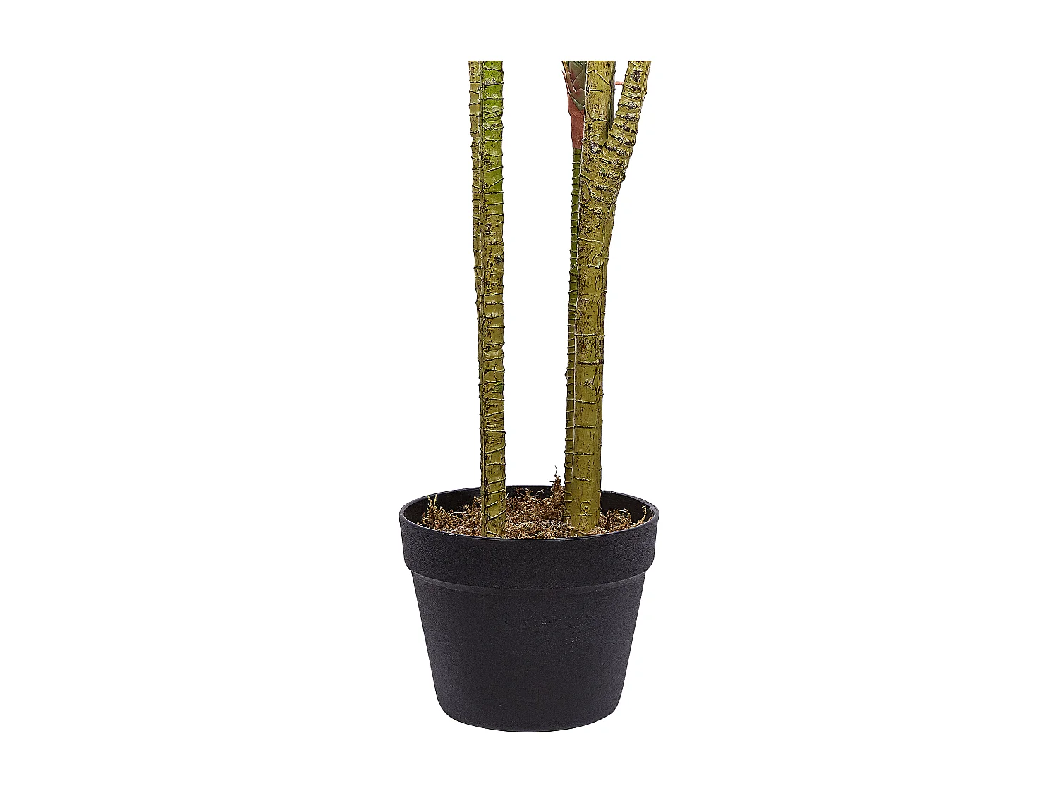 Plante artificielle DRACAENA ANITA 147 cm Vert