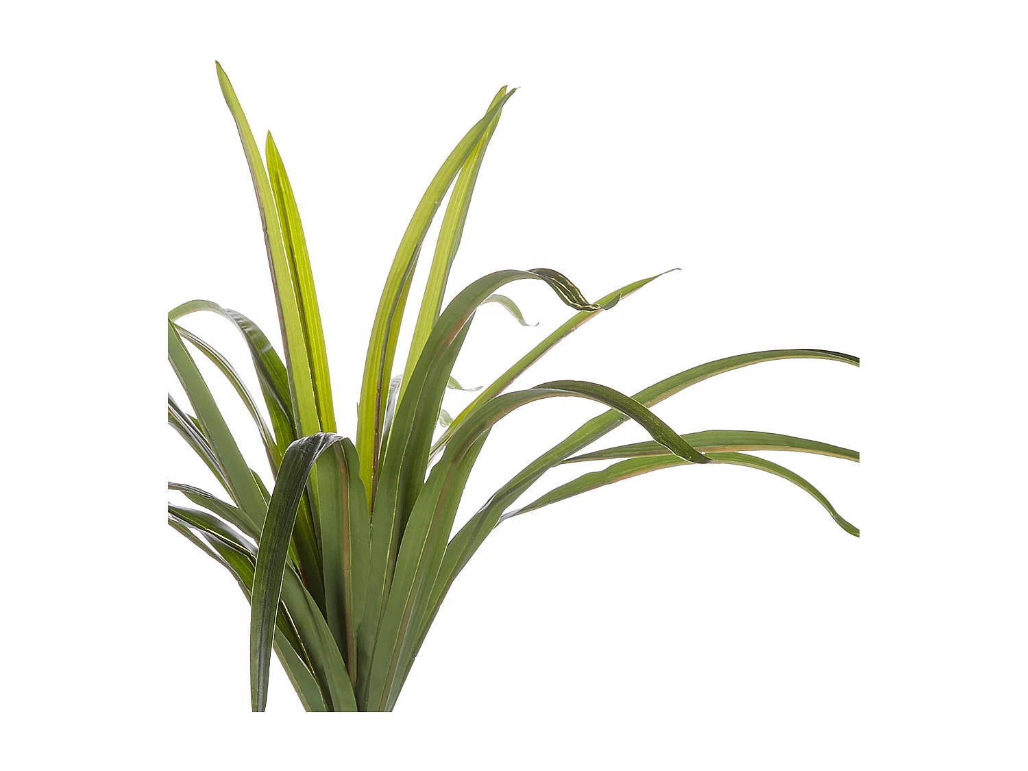 Plante artificielle DRACAENA ANITA 147 cm Vert