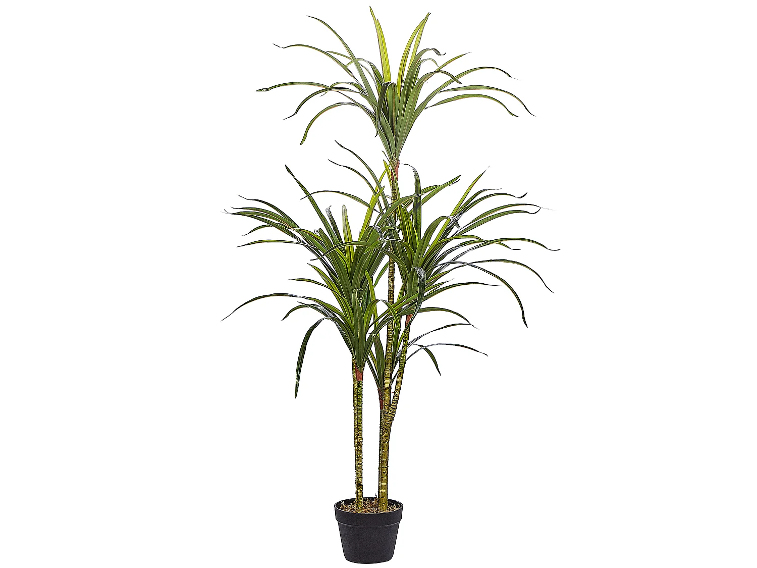 Kunstplant 147 cm DRACAENA ANITA