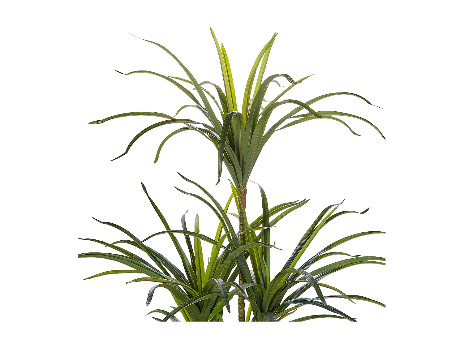 Kunstplant 147 cm DRACAENA ANITA