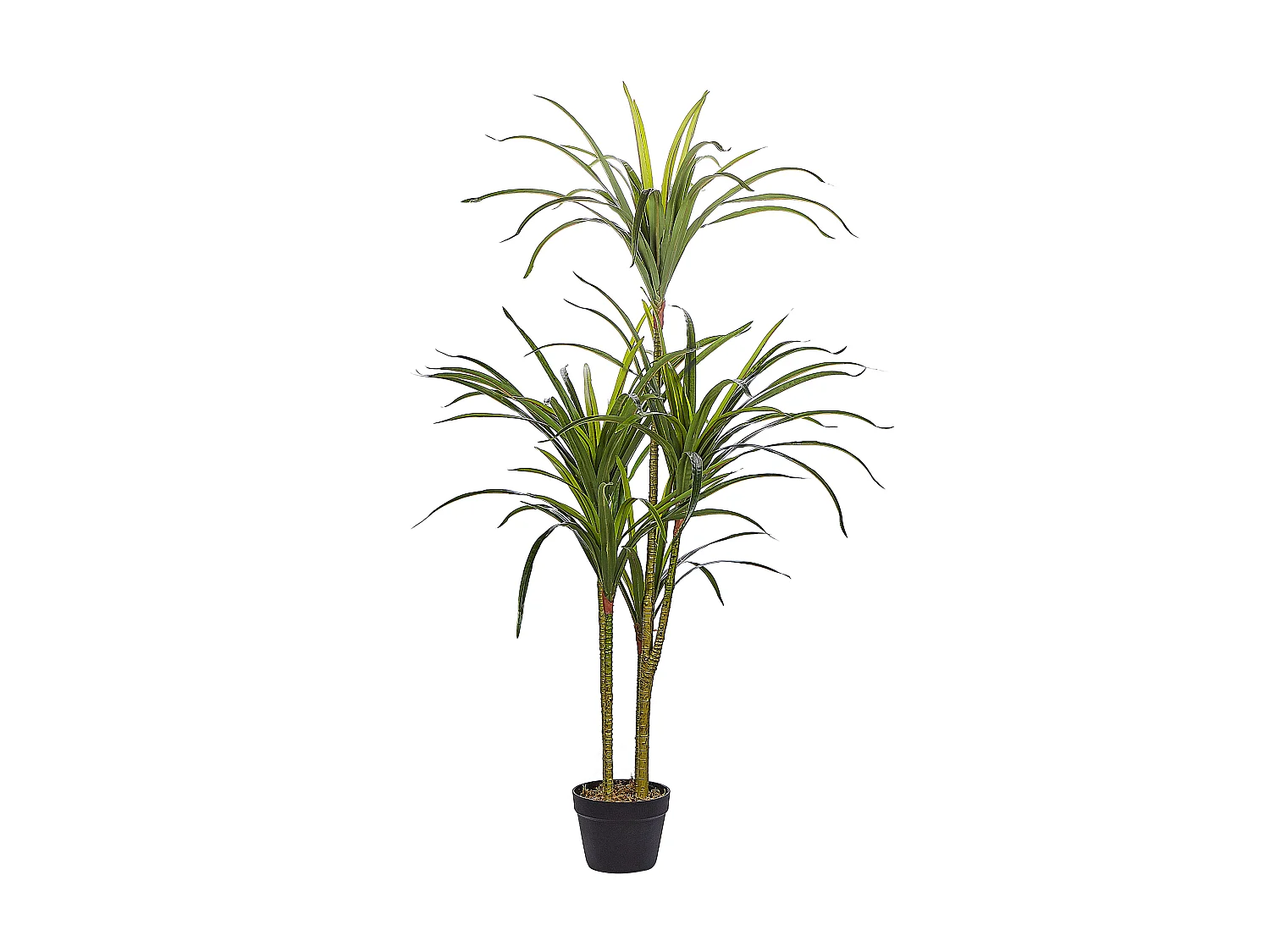 Kunstplant 147 cm DRACAENA ANITA