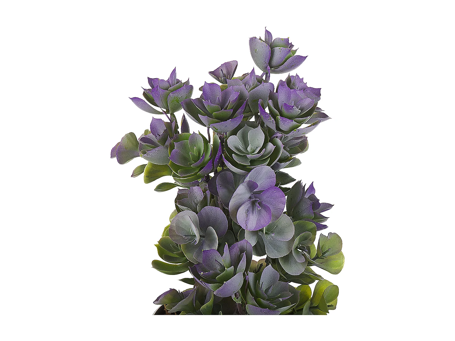 Plante artificielle HOUSELEEK 31 cm Vert