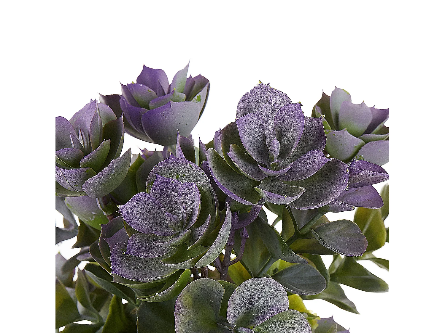 Plante artificielle HOUSELEEK 31 cm Vert