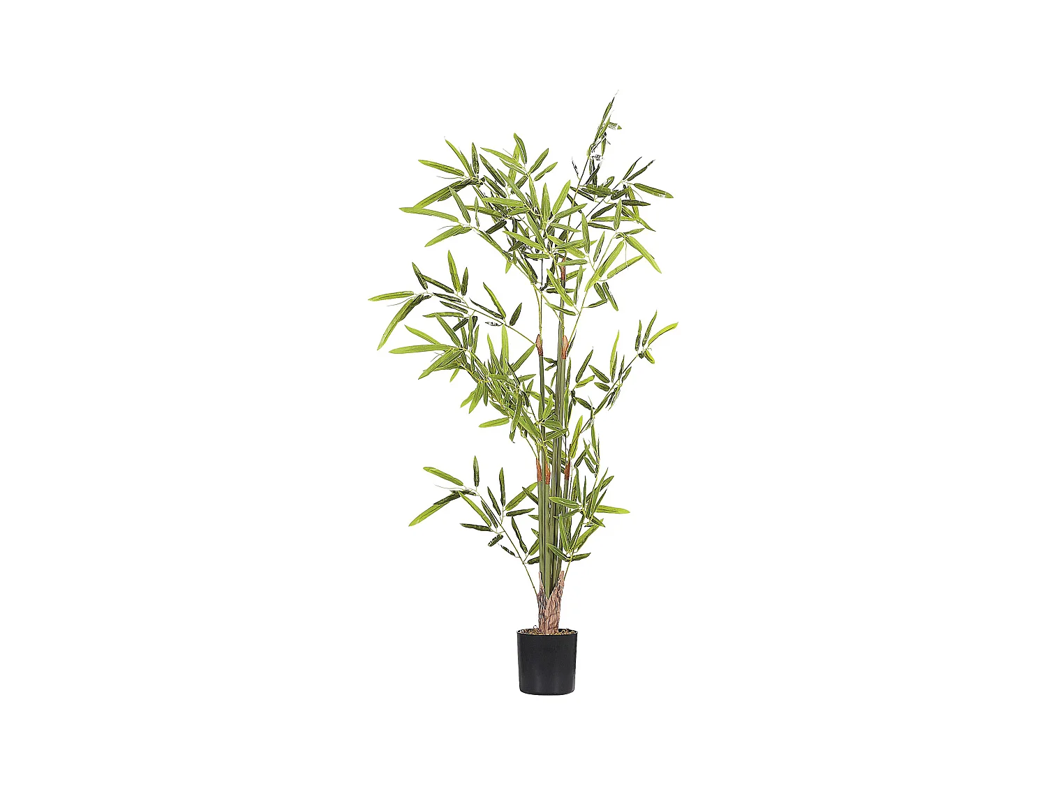 Dekorative Bambus-Imitation im Blumentopf 100 cm grün Bambusa Vulgaris