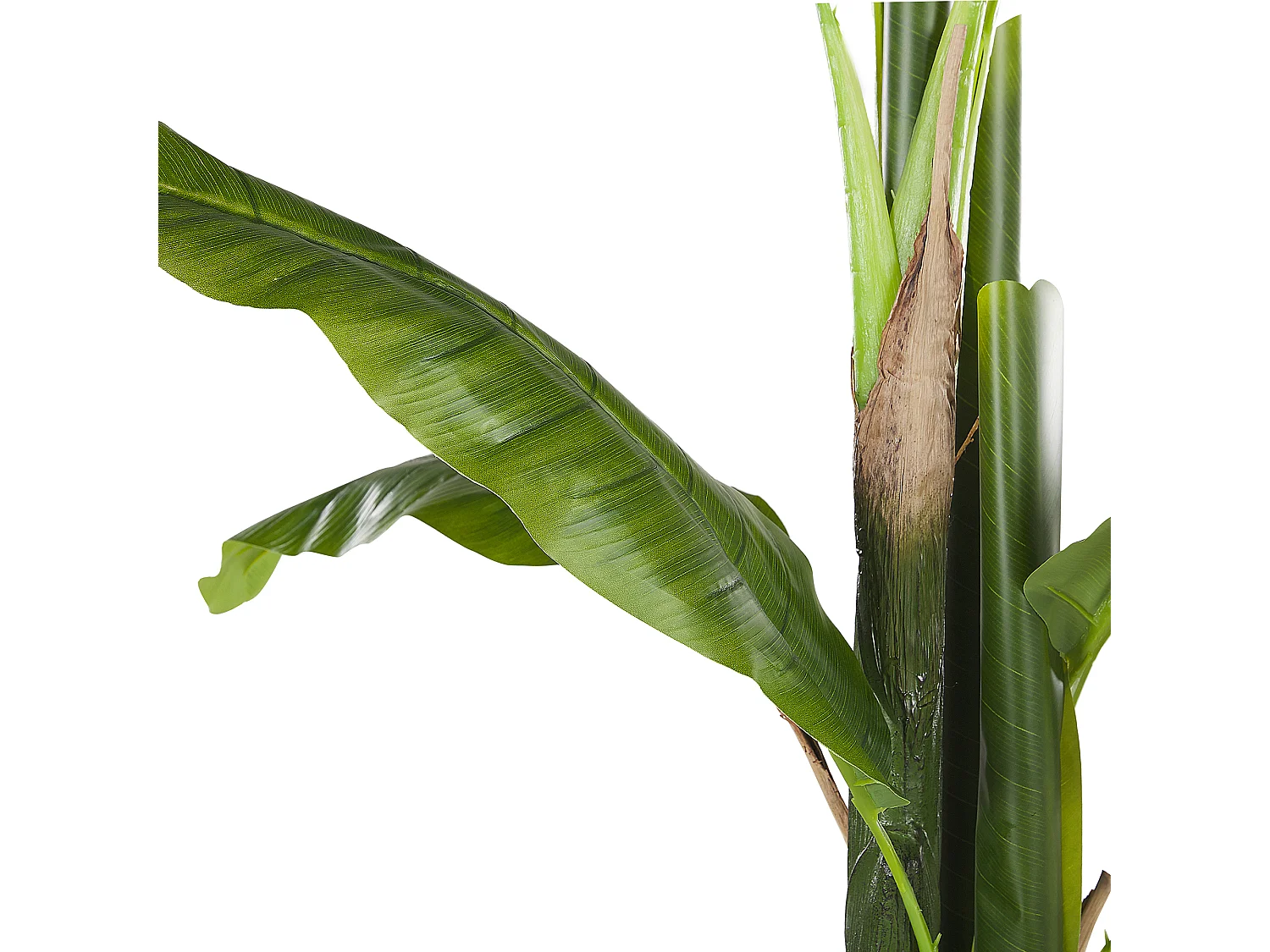 Plante artificielle MUSA TREE 154 cm Vert