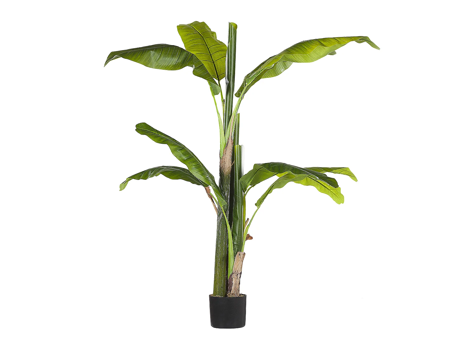 Pianta artificiale in vaso 154 cm BANANA TREE