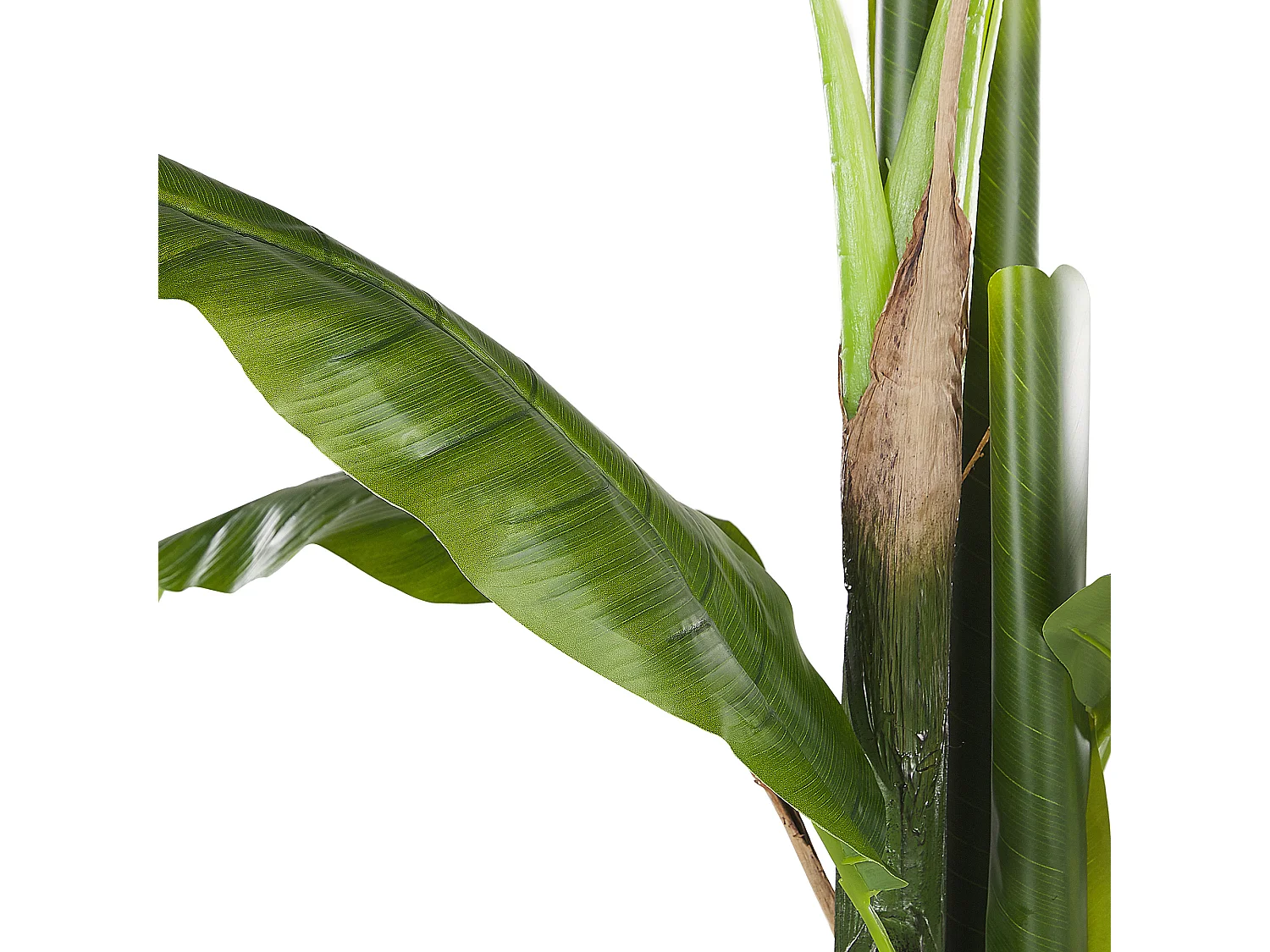 Plante artificielle MUSA TREE 154 cm Vert