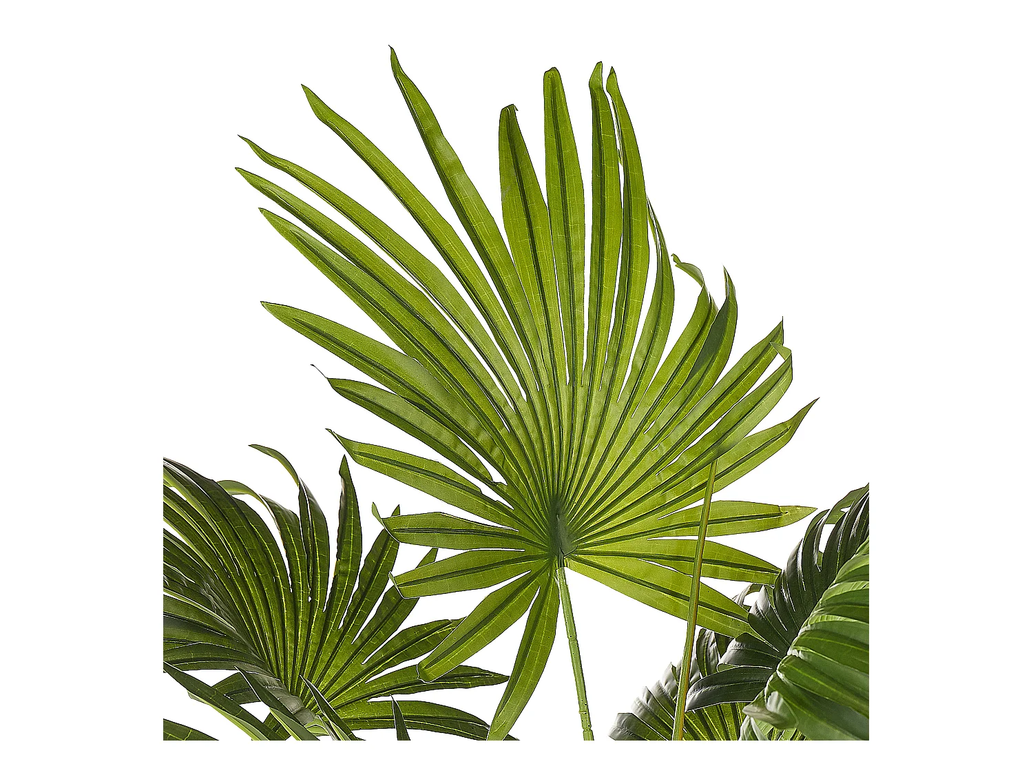 Dekorative Zimmerpalme im schwarzen Blumentopf Kunststoff 100 cm grün Fan Palm