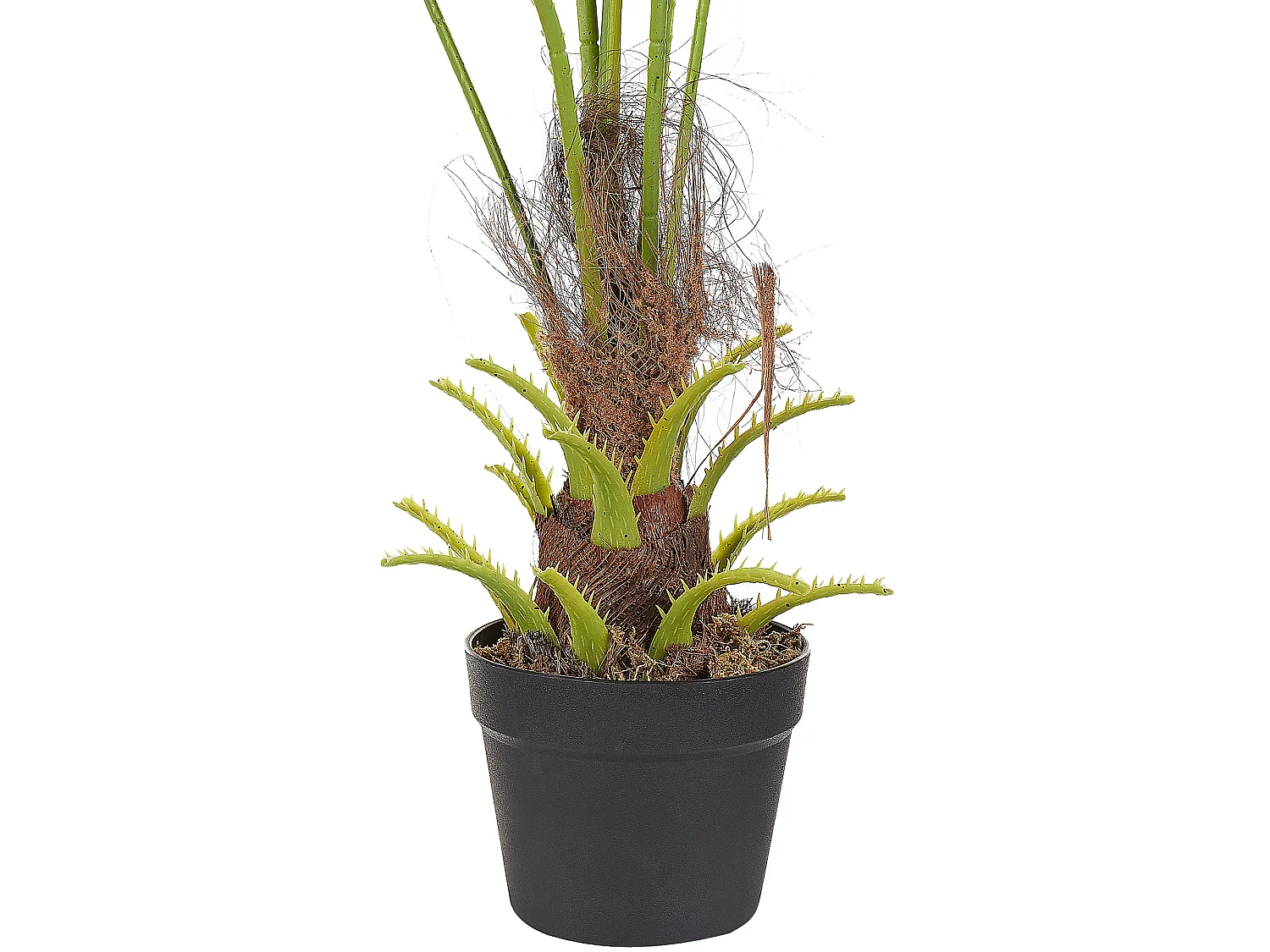 Kunstplant 100 cm FAN PALM