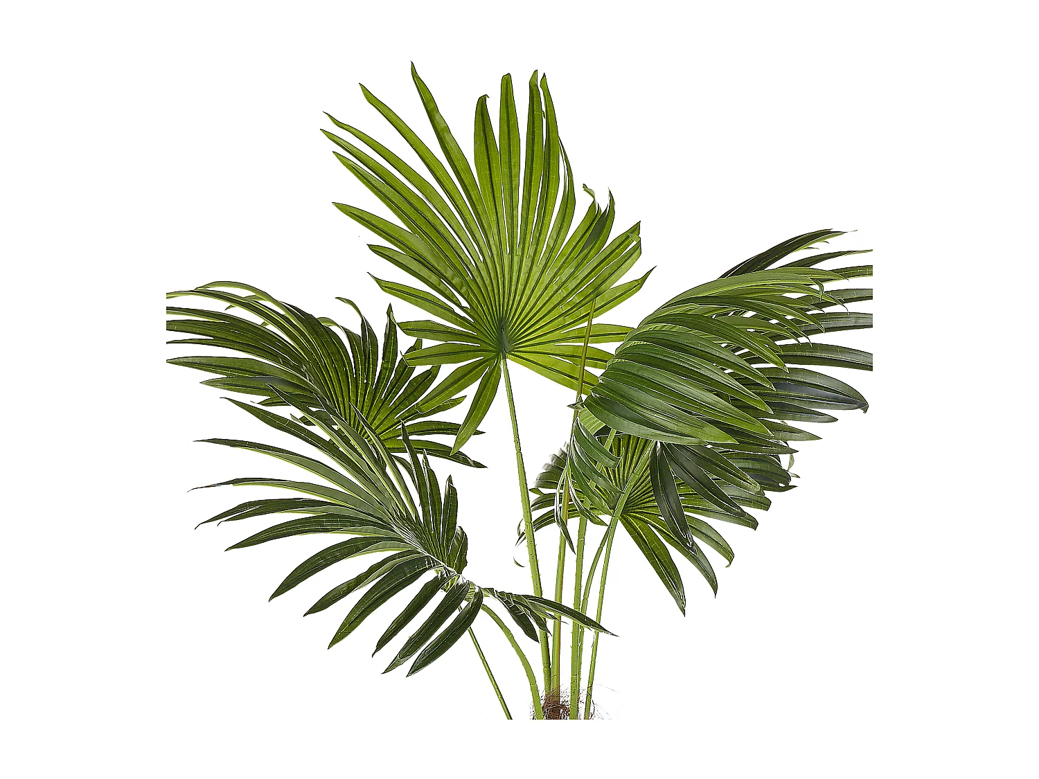 Kunstplant 100 cm FAN PALM