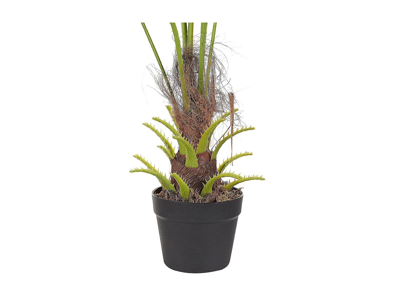 Kunstplant 100 cm FAN PALM