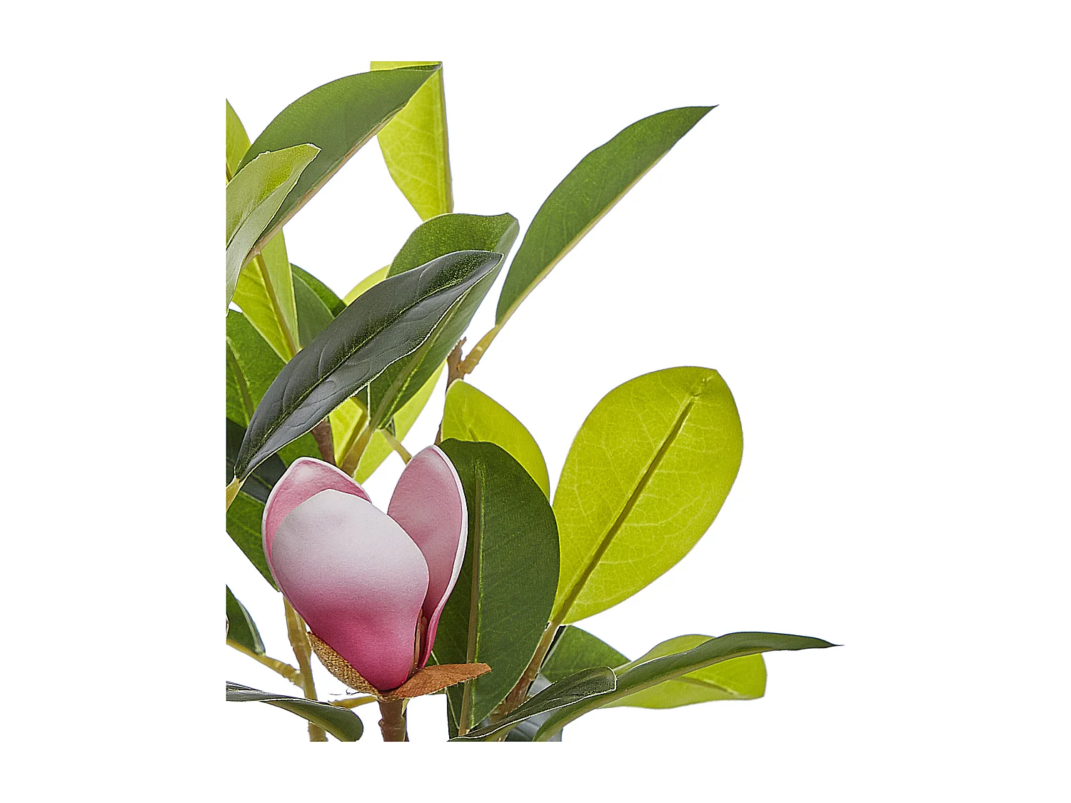 Dekorativer Magnolienbaum grün aus Kunststoff 70 cm im Blumentopf Magnolia