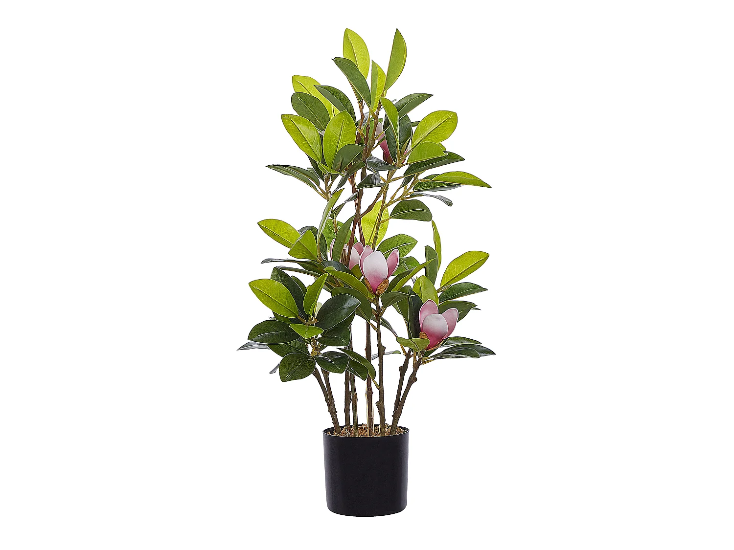 Plante artificielle MAGNOLIA 70 cm Vert