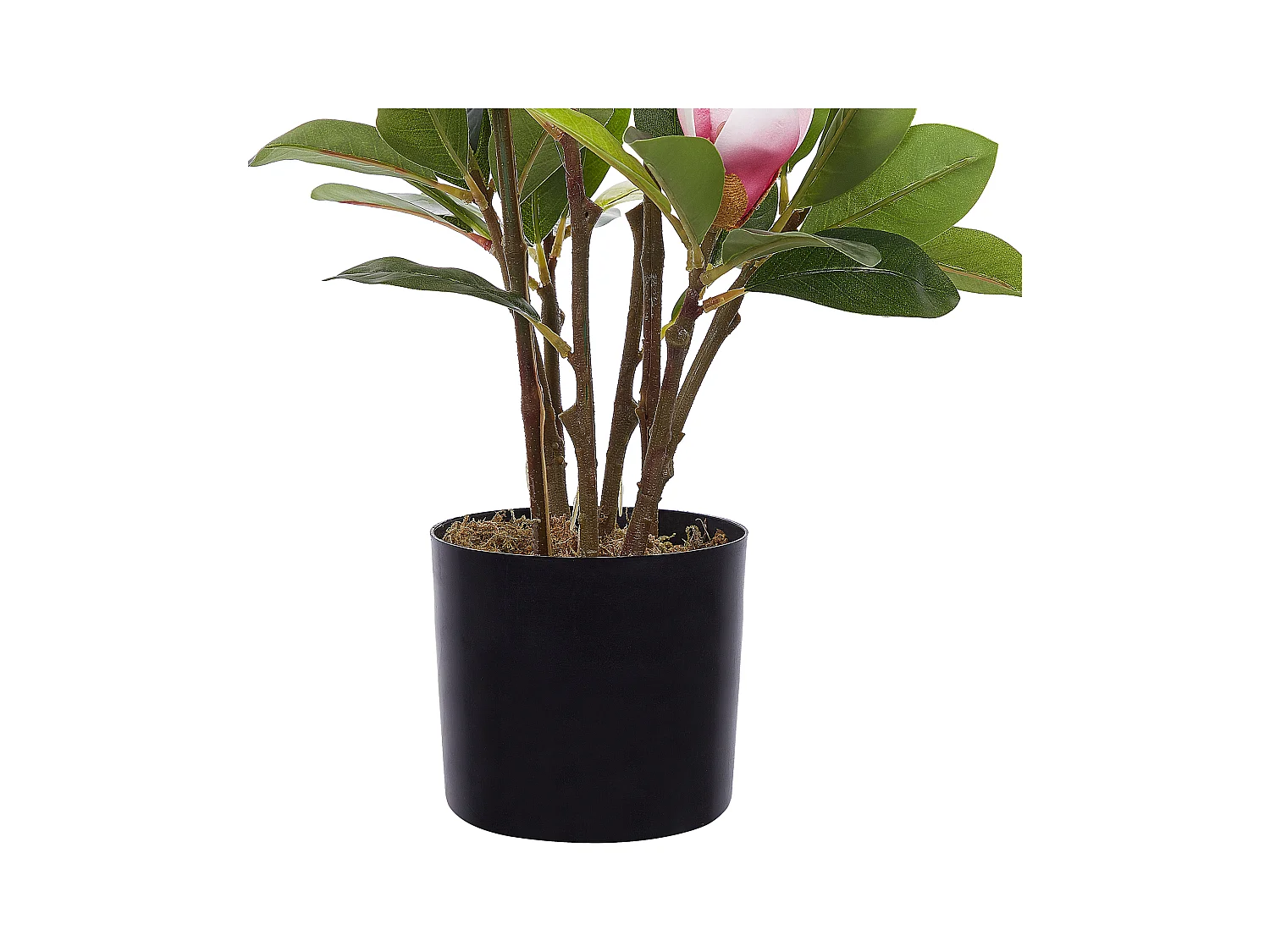 Planta artificial en maceta 70 cm MAGNOLIA