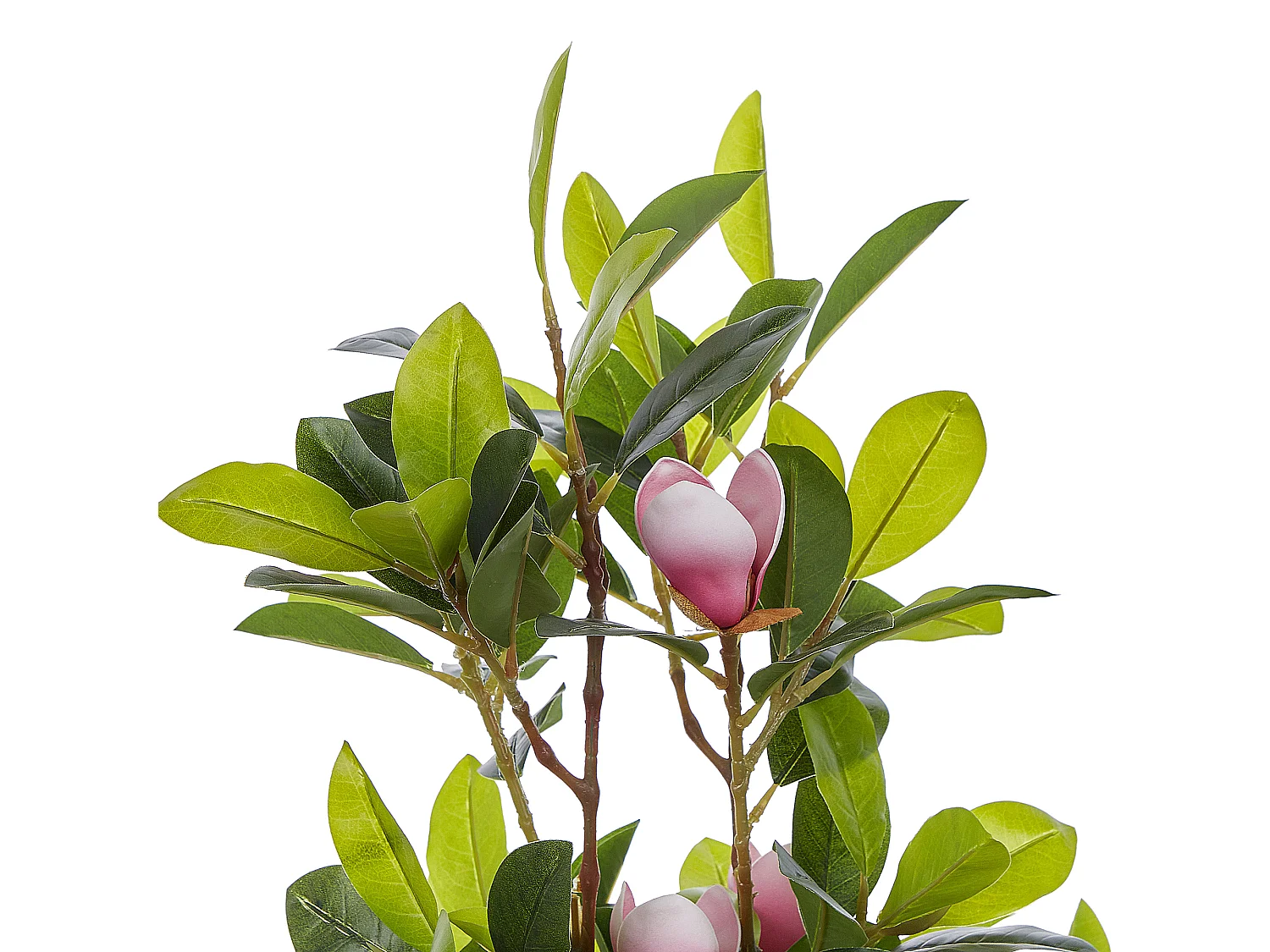 Plante artificielle MAGNOLIA 70 cm Vert