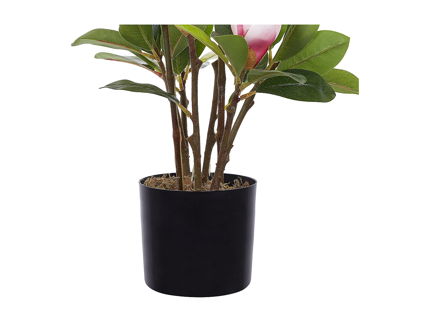 Plante artificielle MAGNOLIA 70 cm Vert