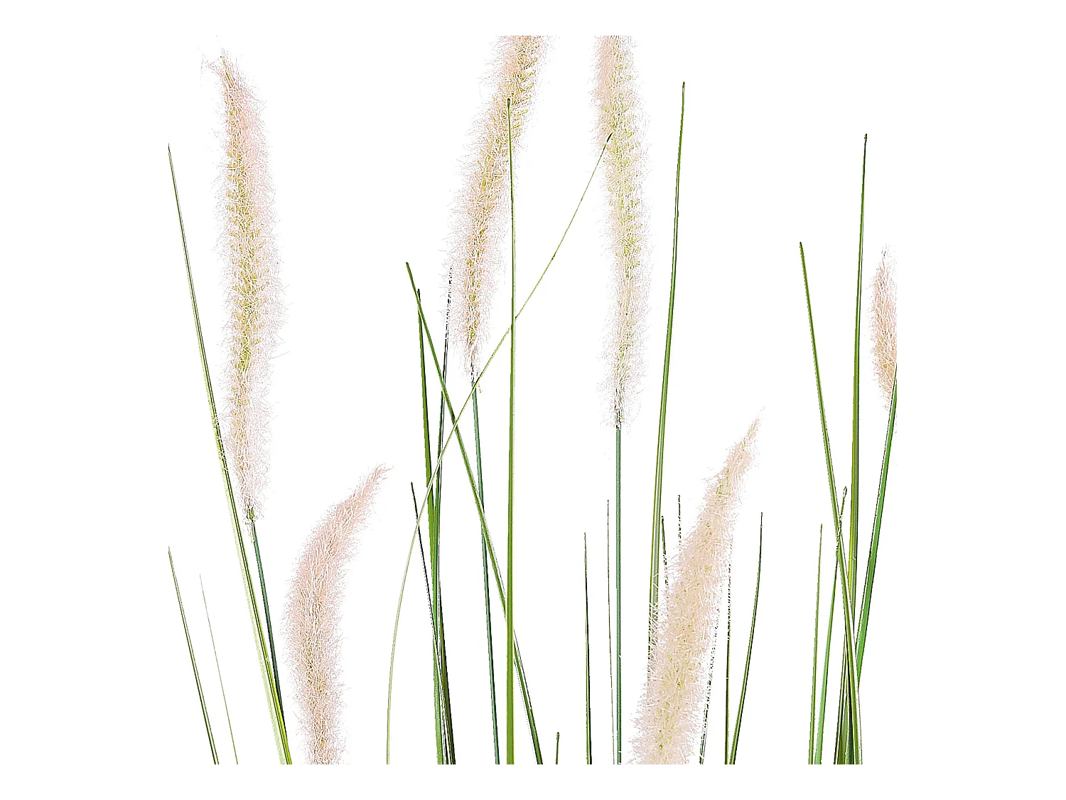 Plante artificielle REED PLANT 87 cm Vert