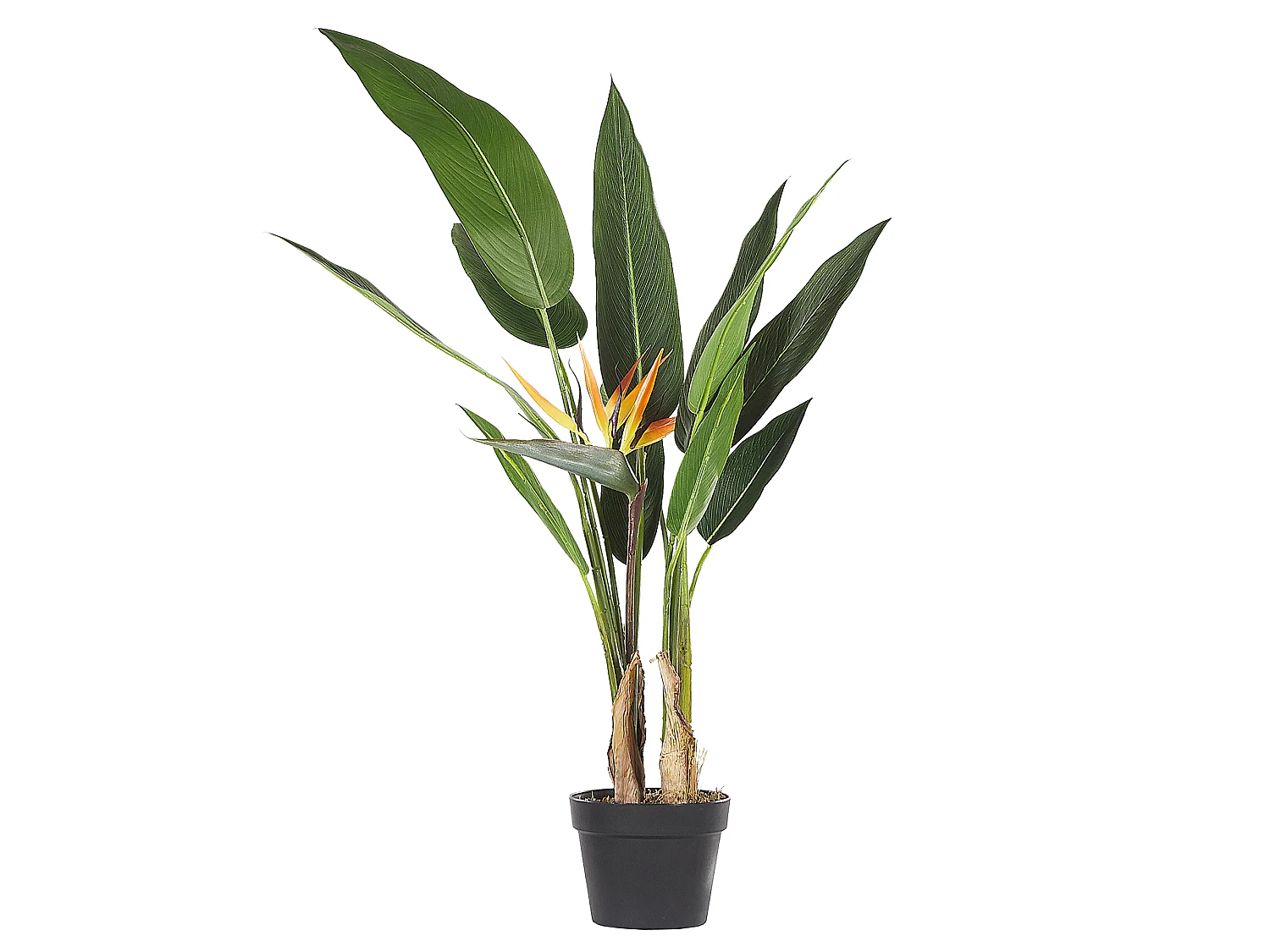 Plante artificielle STRELITZIA TREE 115 cm Vert